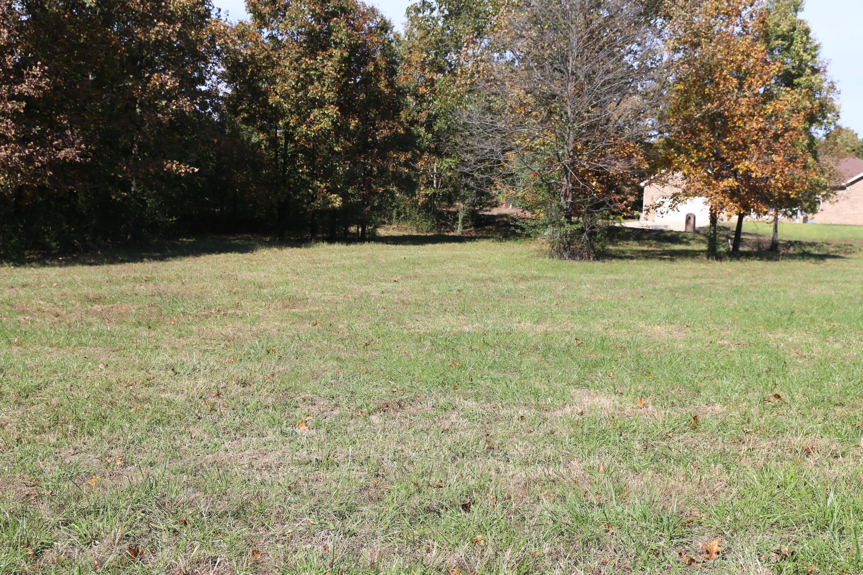 000 Wild Turkey #Block 1 Lot 3 1