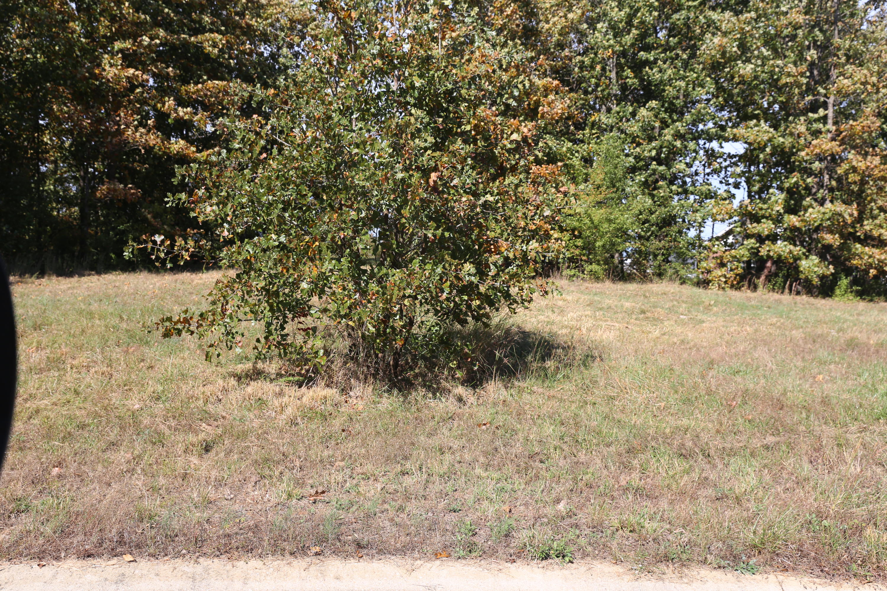 000 Wild Turkey #Block 1 Lot 4 1