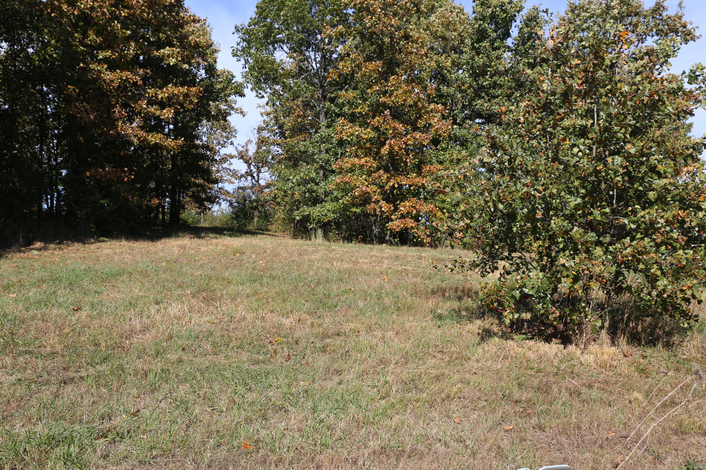 000 Wild Turkey #Block 1 Lot 5 1