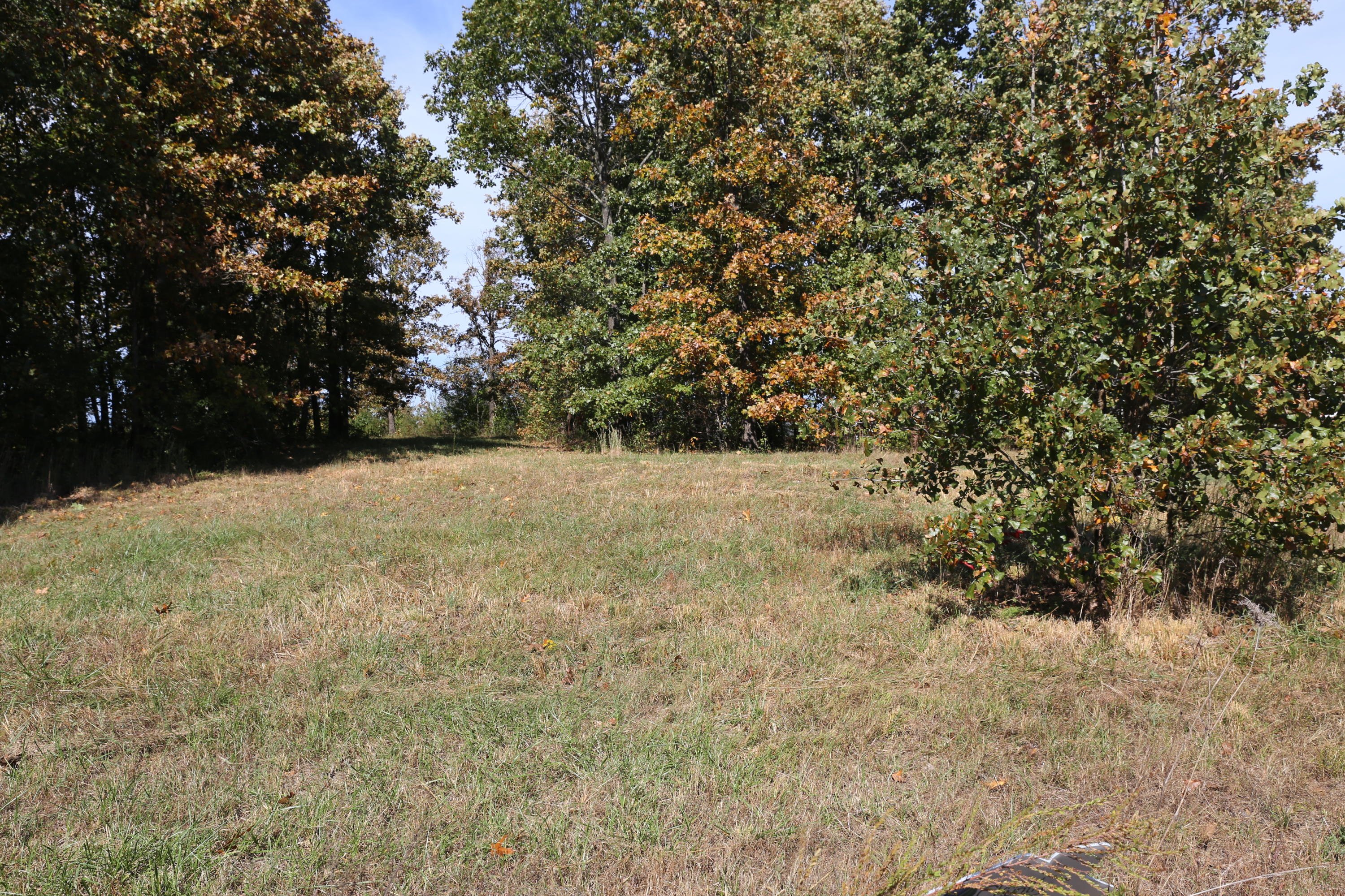 000 Wild Turkey #Block 1 Lot 6 1