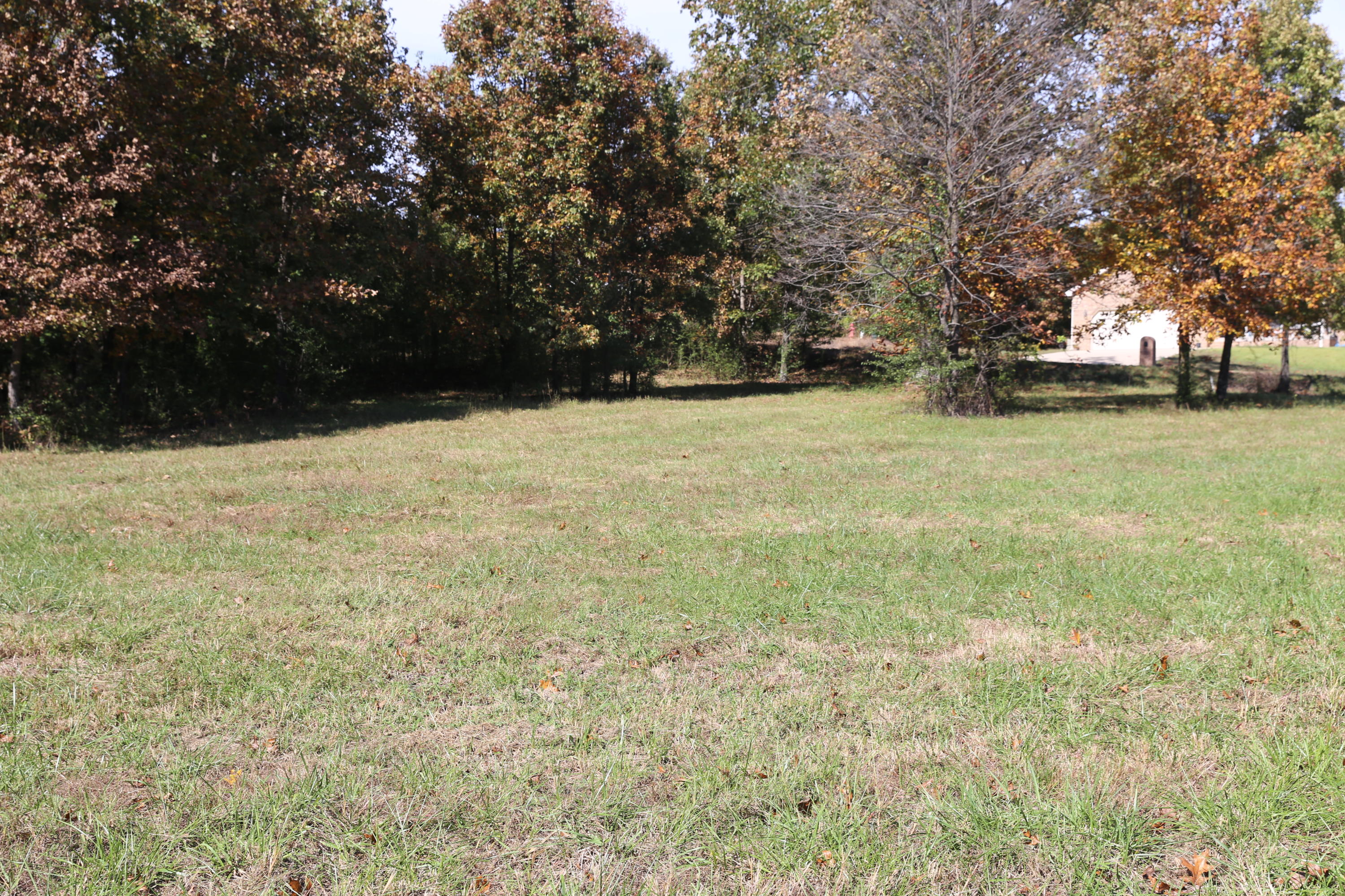 000 Wild Turkey #Block 1 Lot 9 1