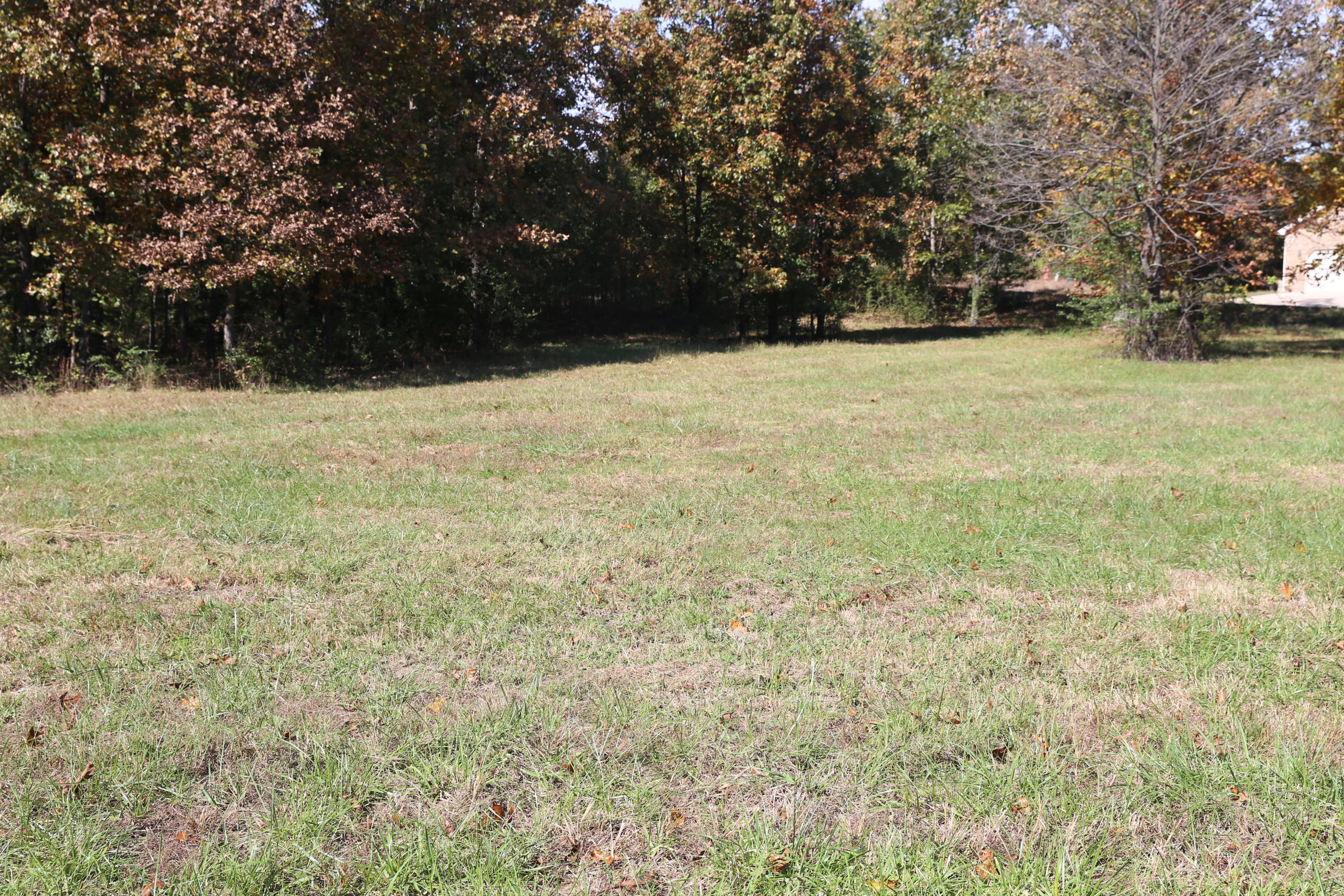 000 Wild Turkey #Block 1 Lot 10 1