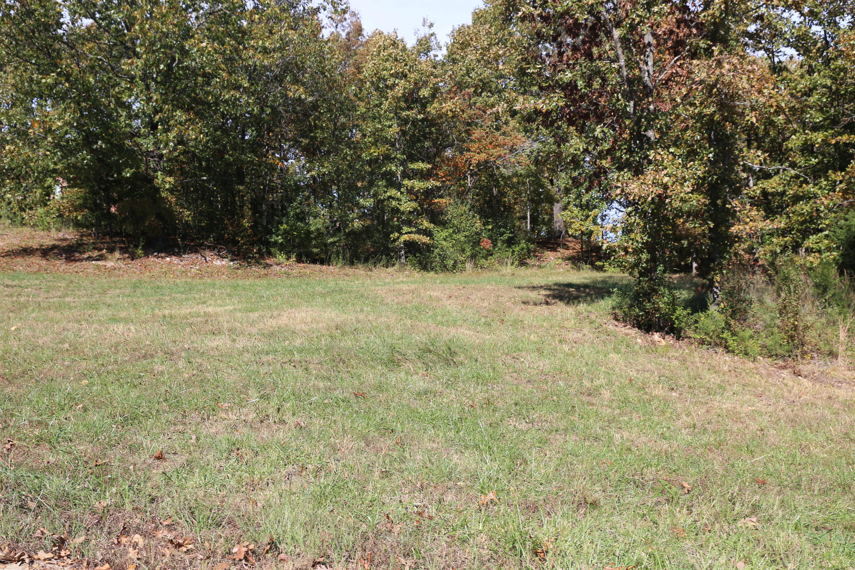 000 Wild Turkey #Block 1 Lot 13 1