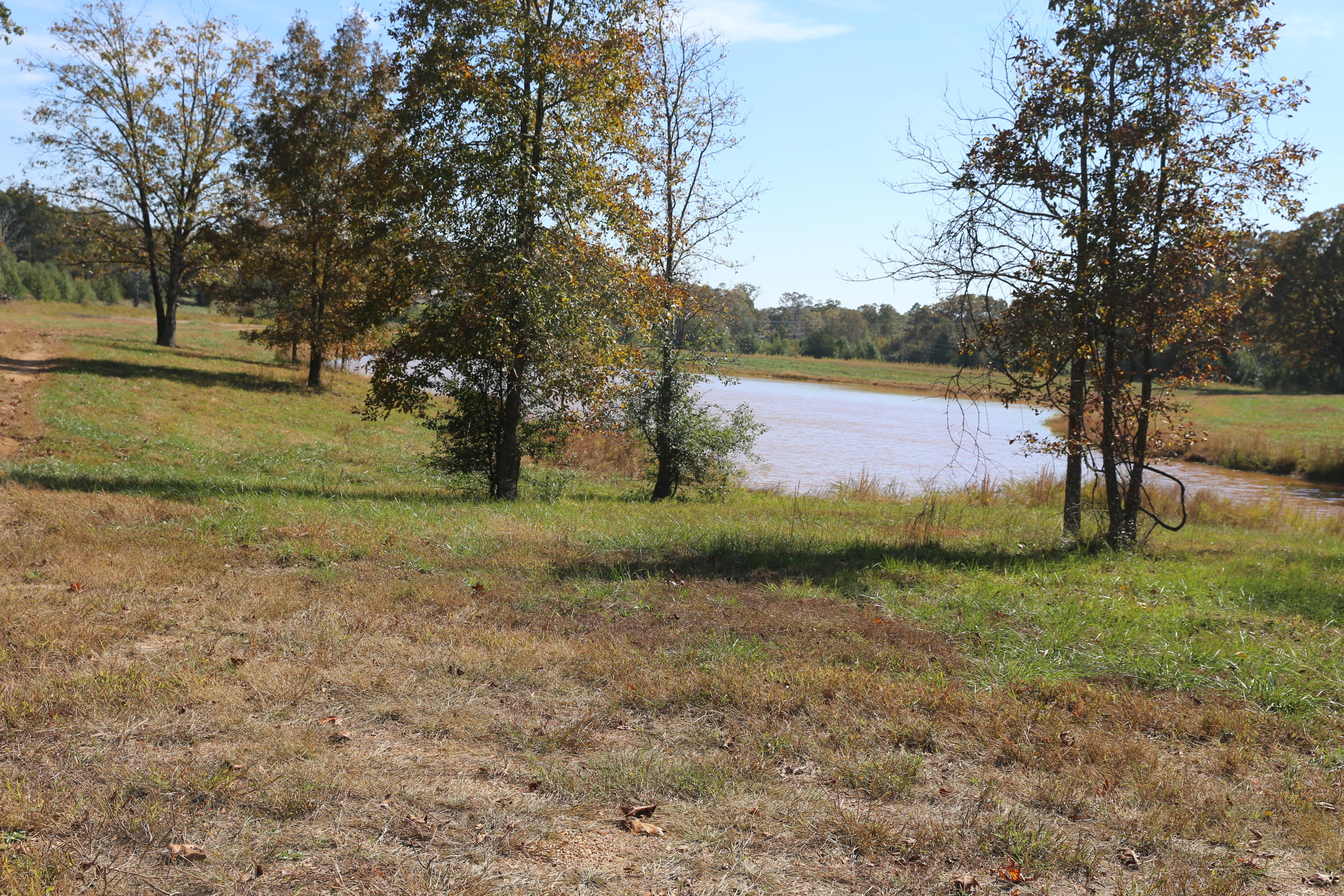 000 Wild Turkey #Block 1 Lot 18 1