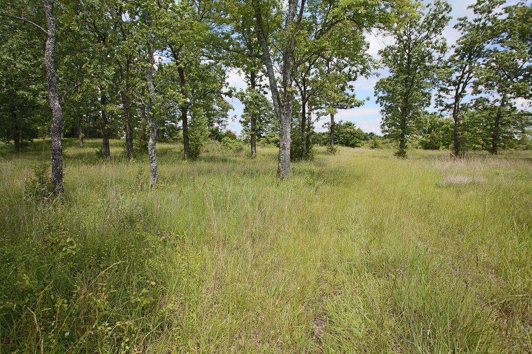 000 Arrowhead Acres 1