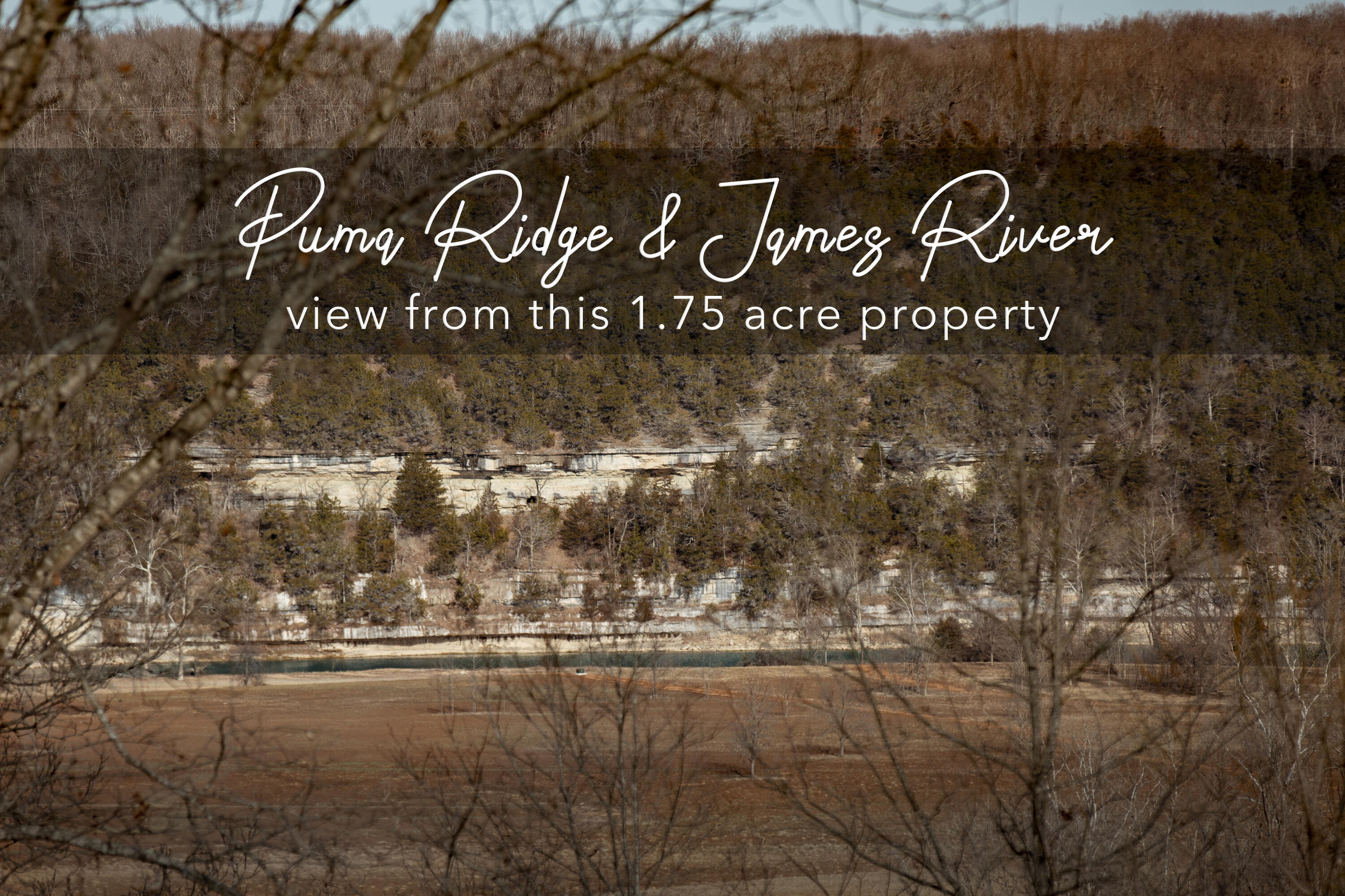 Lot 203 Lone Oak 1