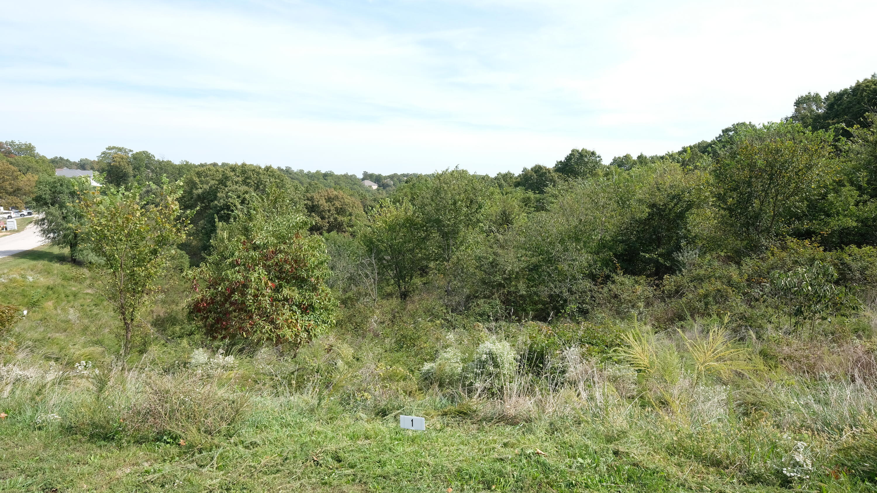 374 Emory Creek 1