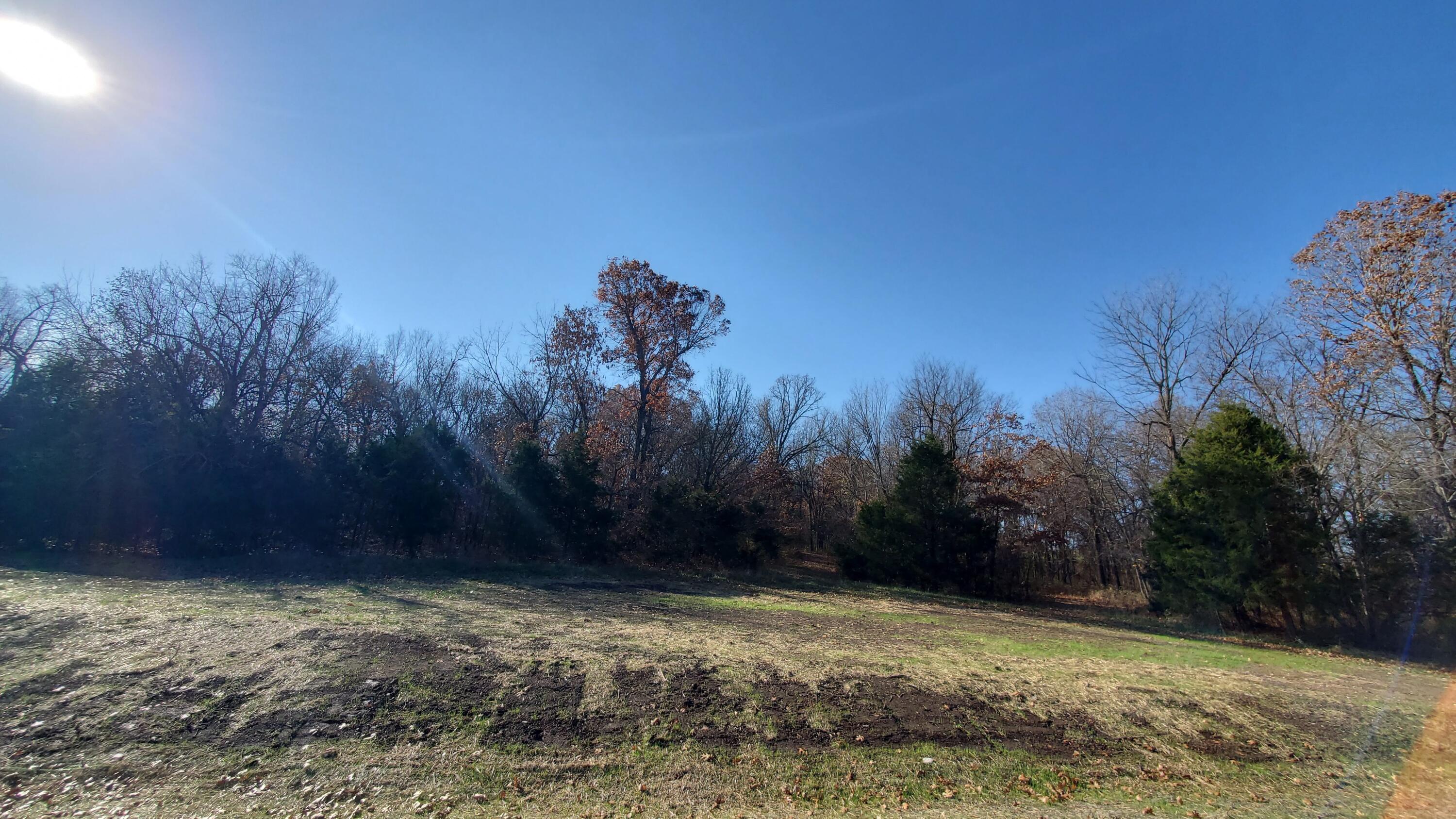 7054 W Musket Ridge #Lot 11 1