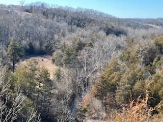 000000 Ozark Scenic 1