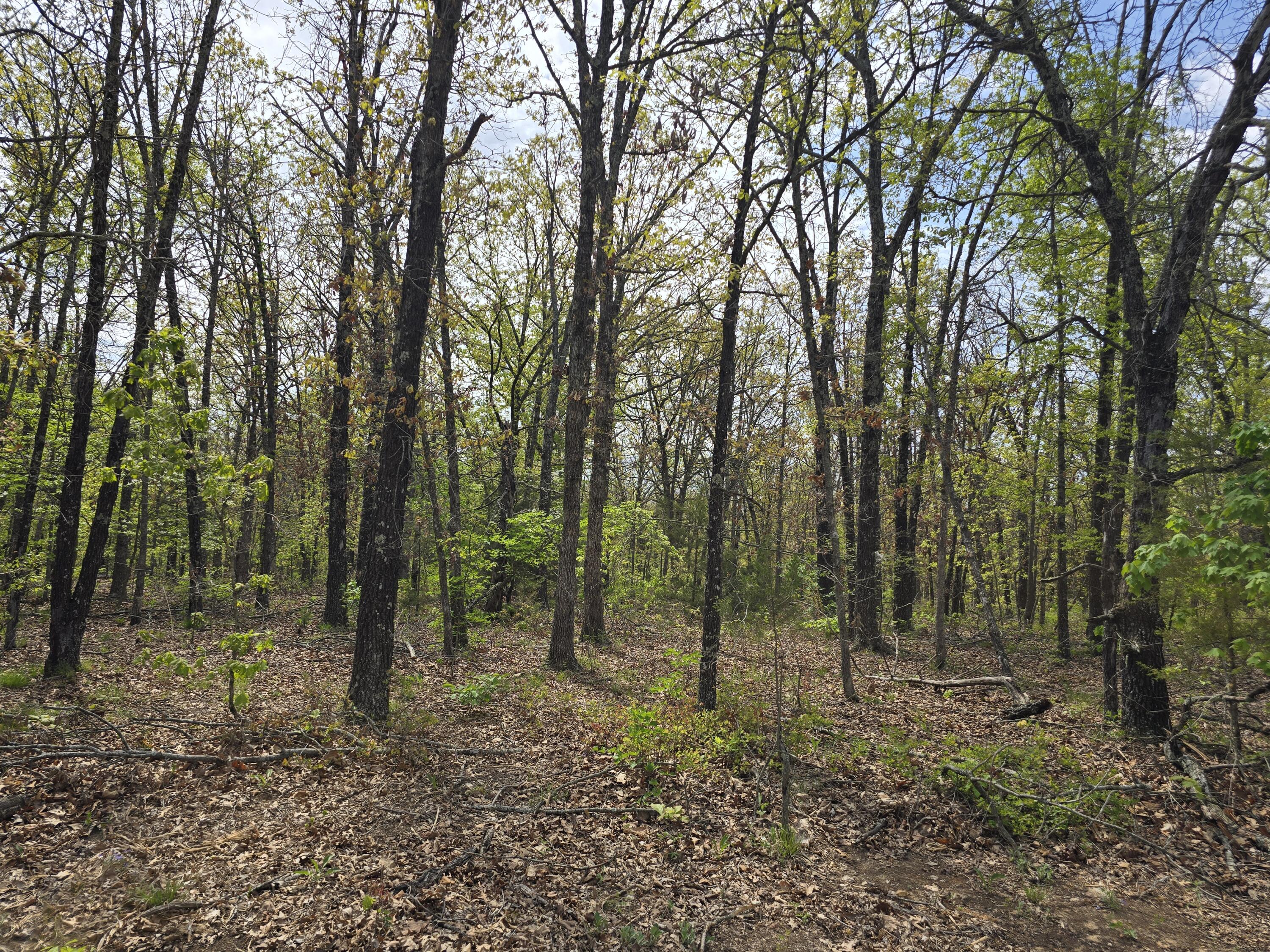 Tract L Greatview 1