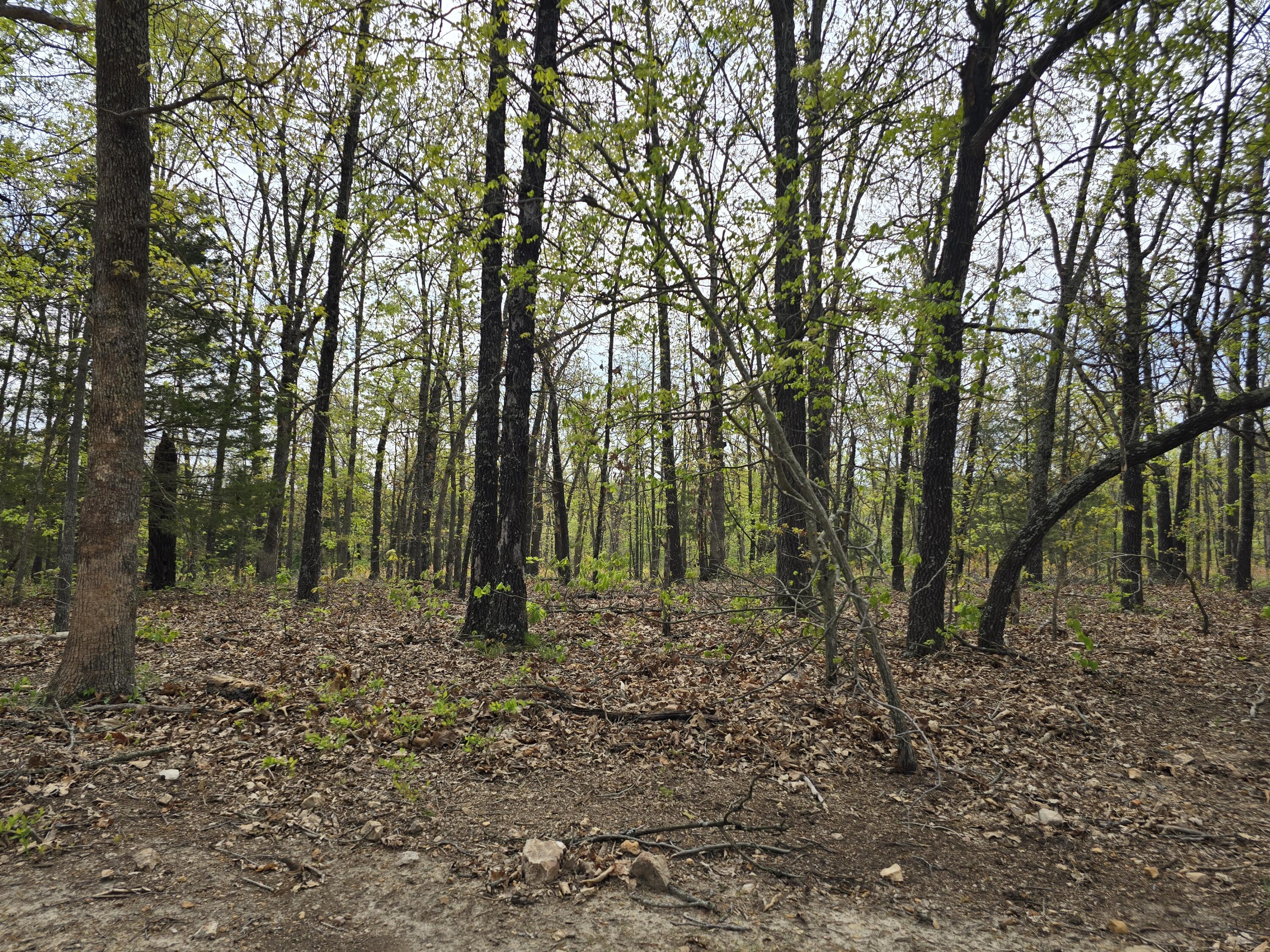 Tract M Greatview 1