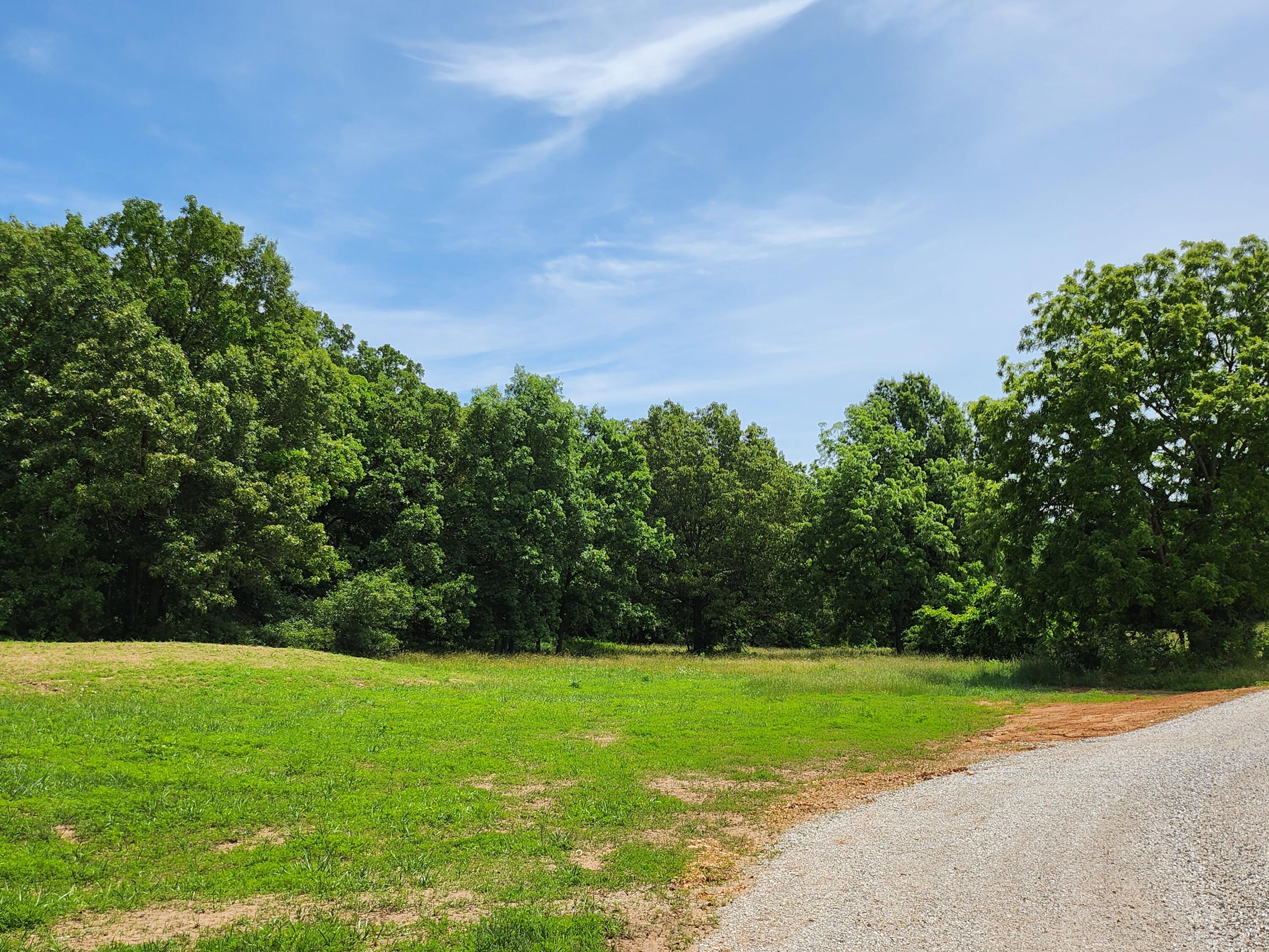 Lot 8 N Farm Road 61 1