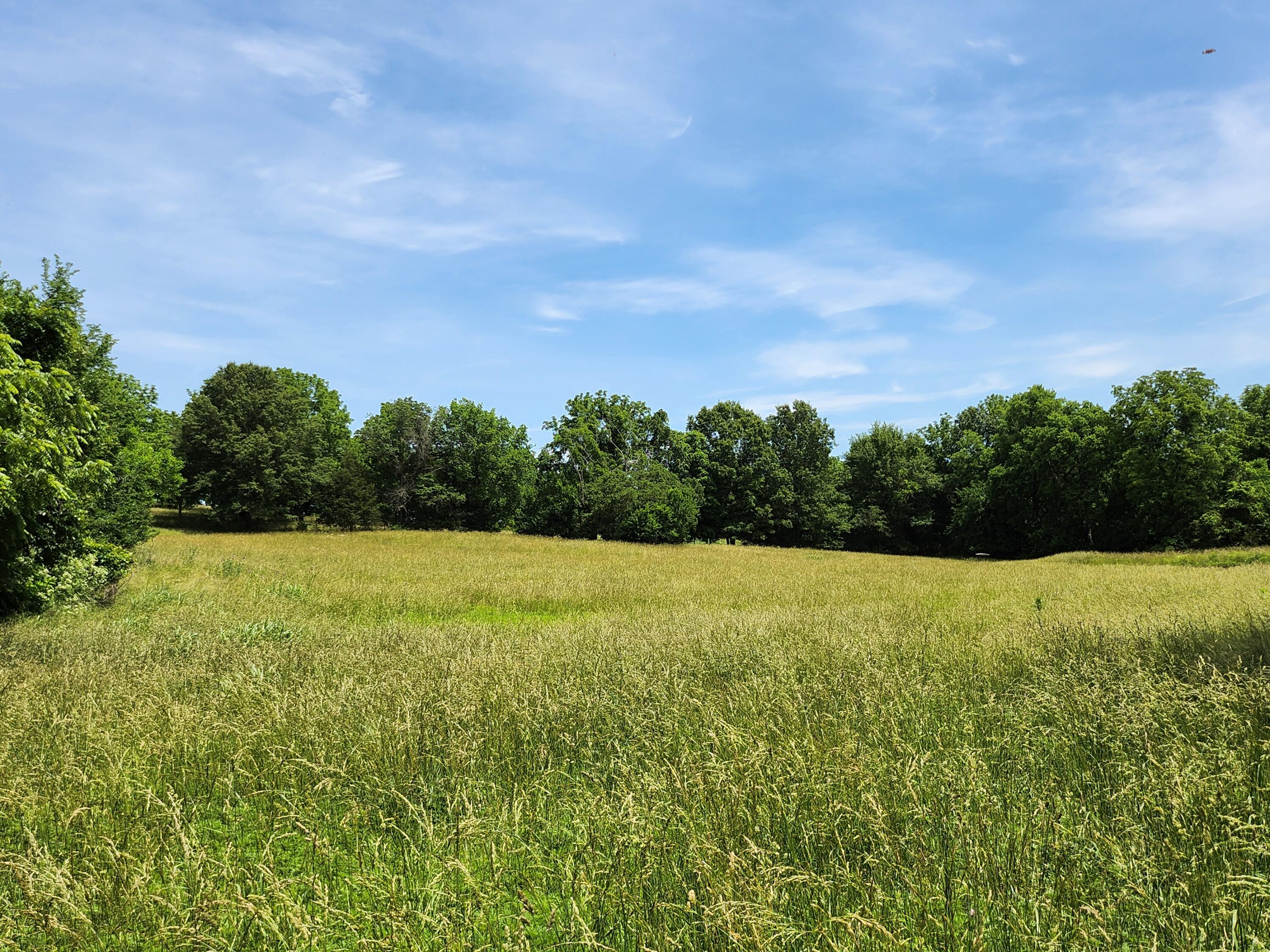 Lot 9 N Farm Road 61 1