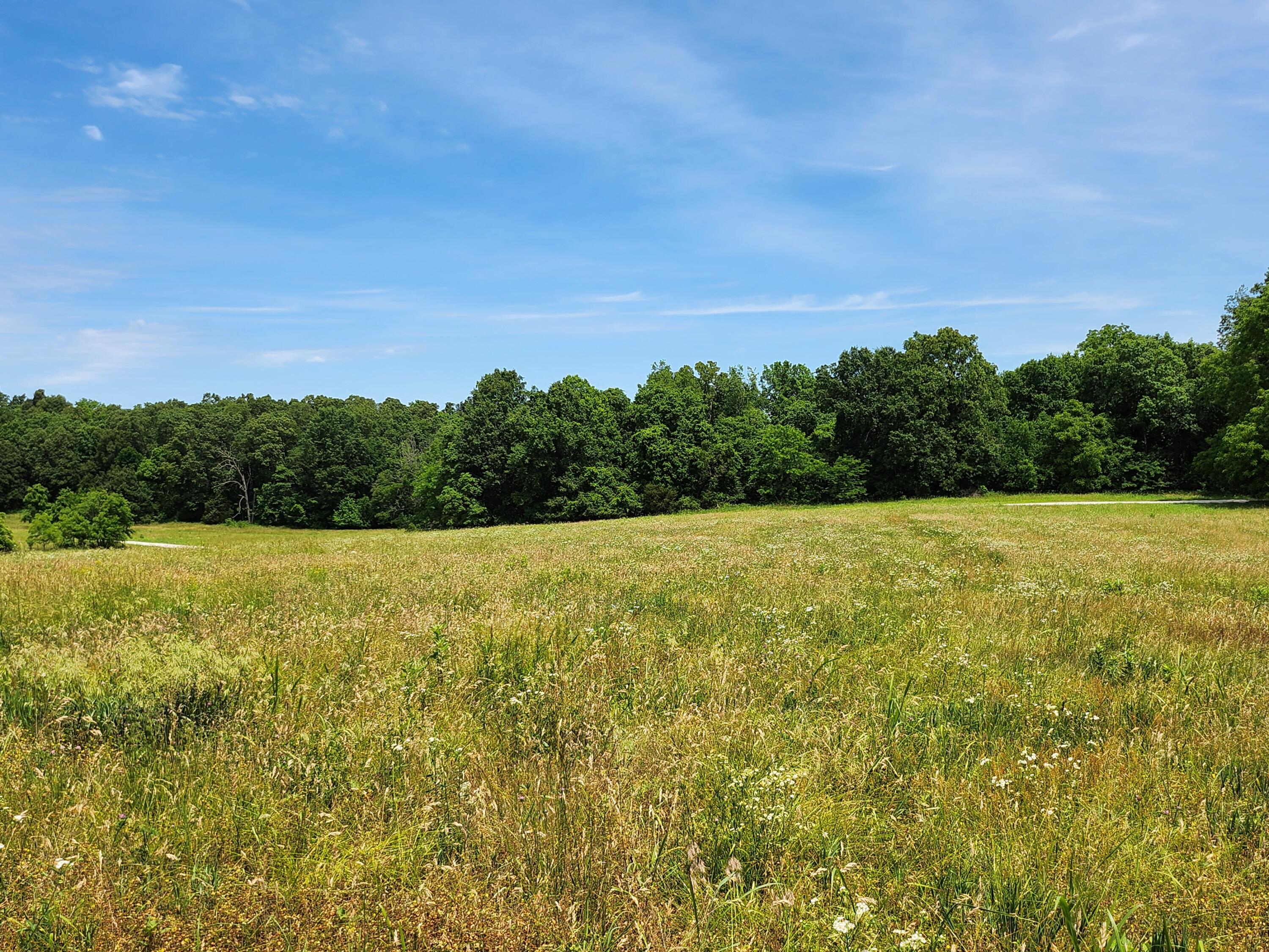 Lot 10 N Farm Road 61 1
