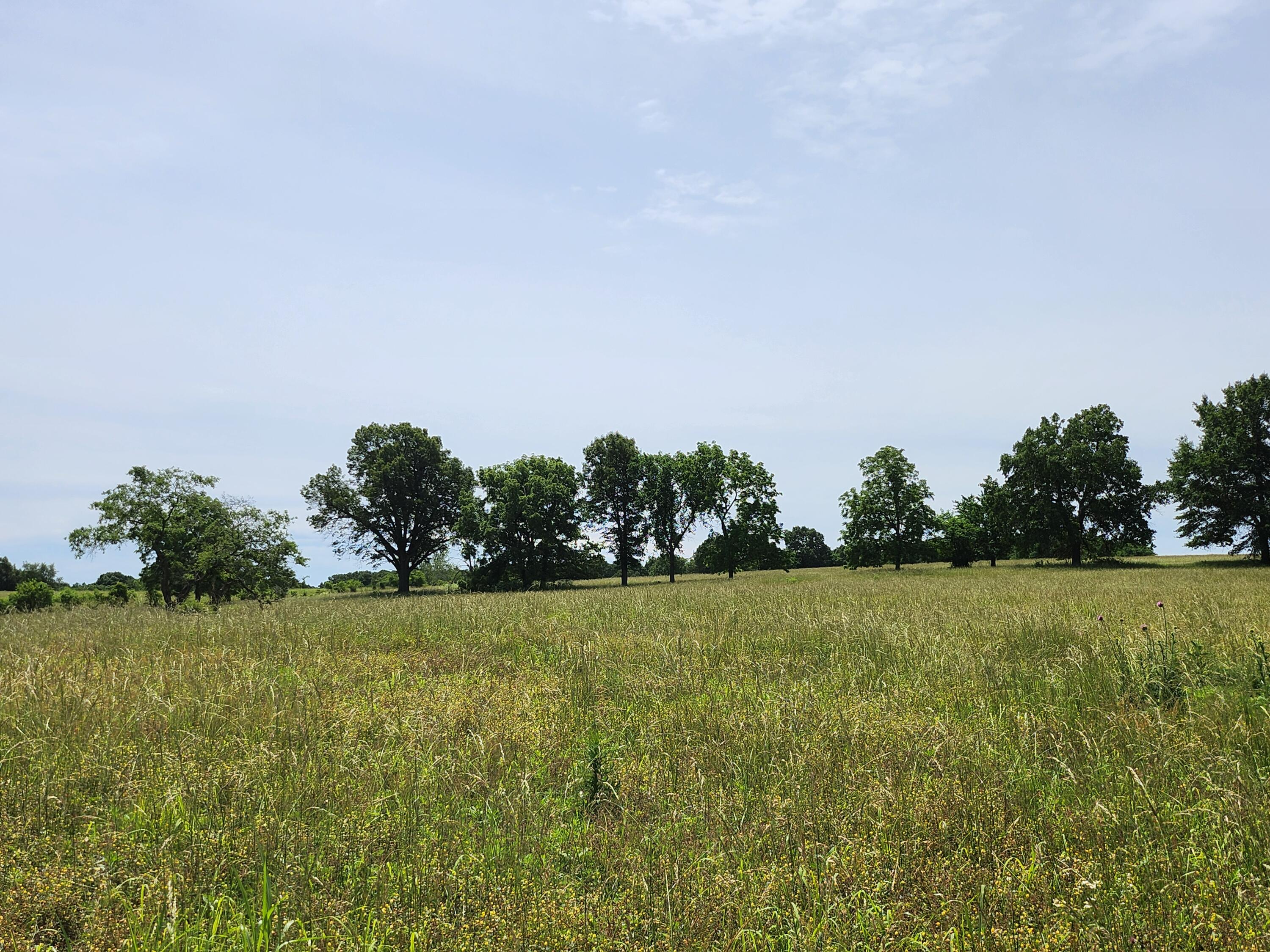 Lot 11 N Farm Road 61 1