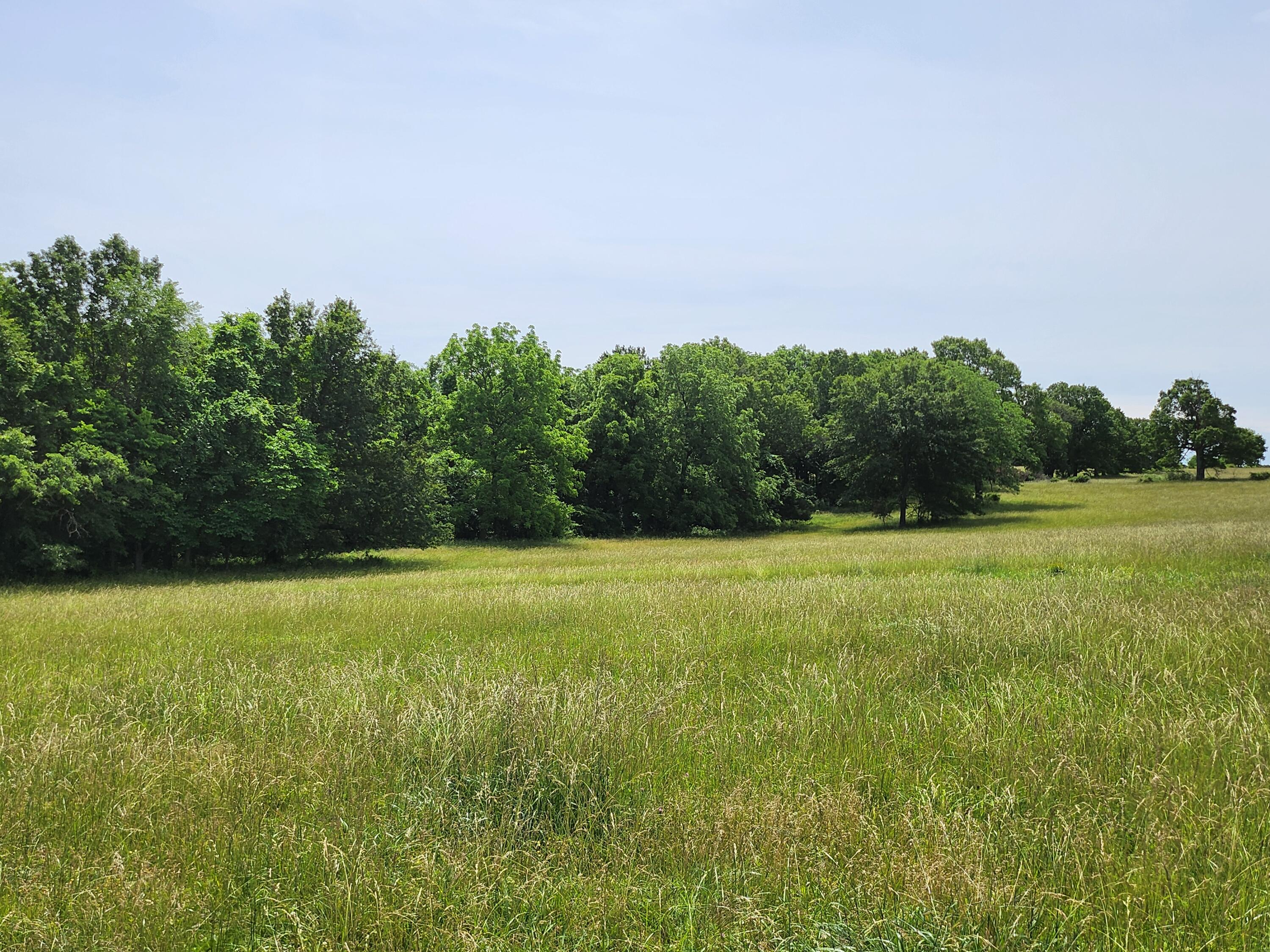 Lot 12 N Farm Road 61 1