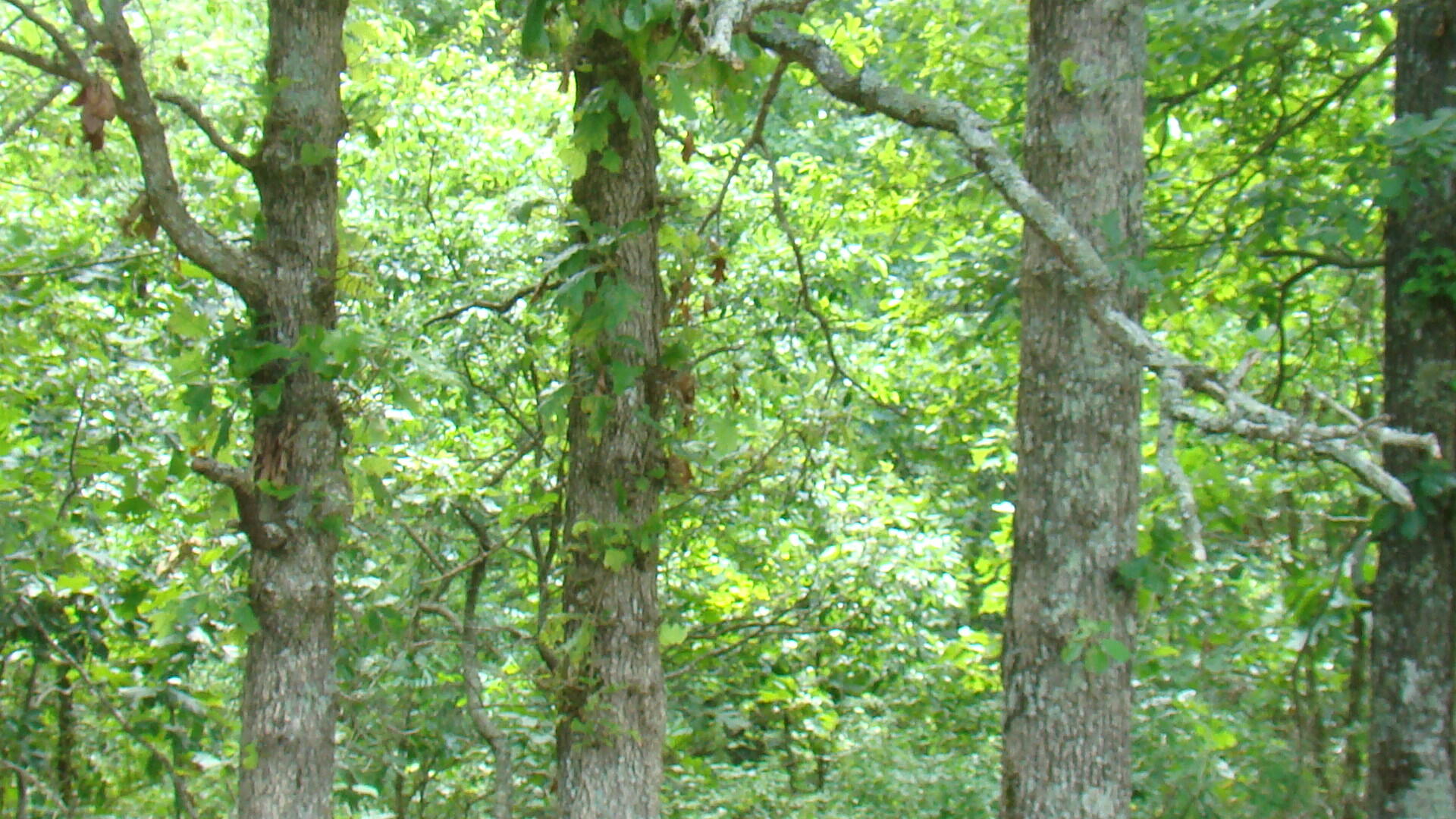 Tbd State Route Y