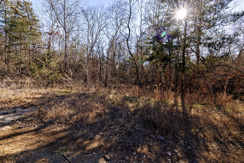 Lot 4 Sandstone 1