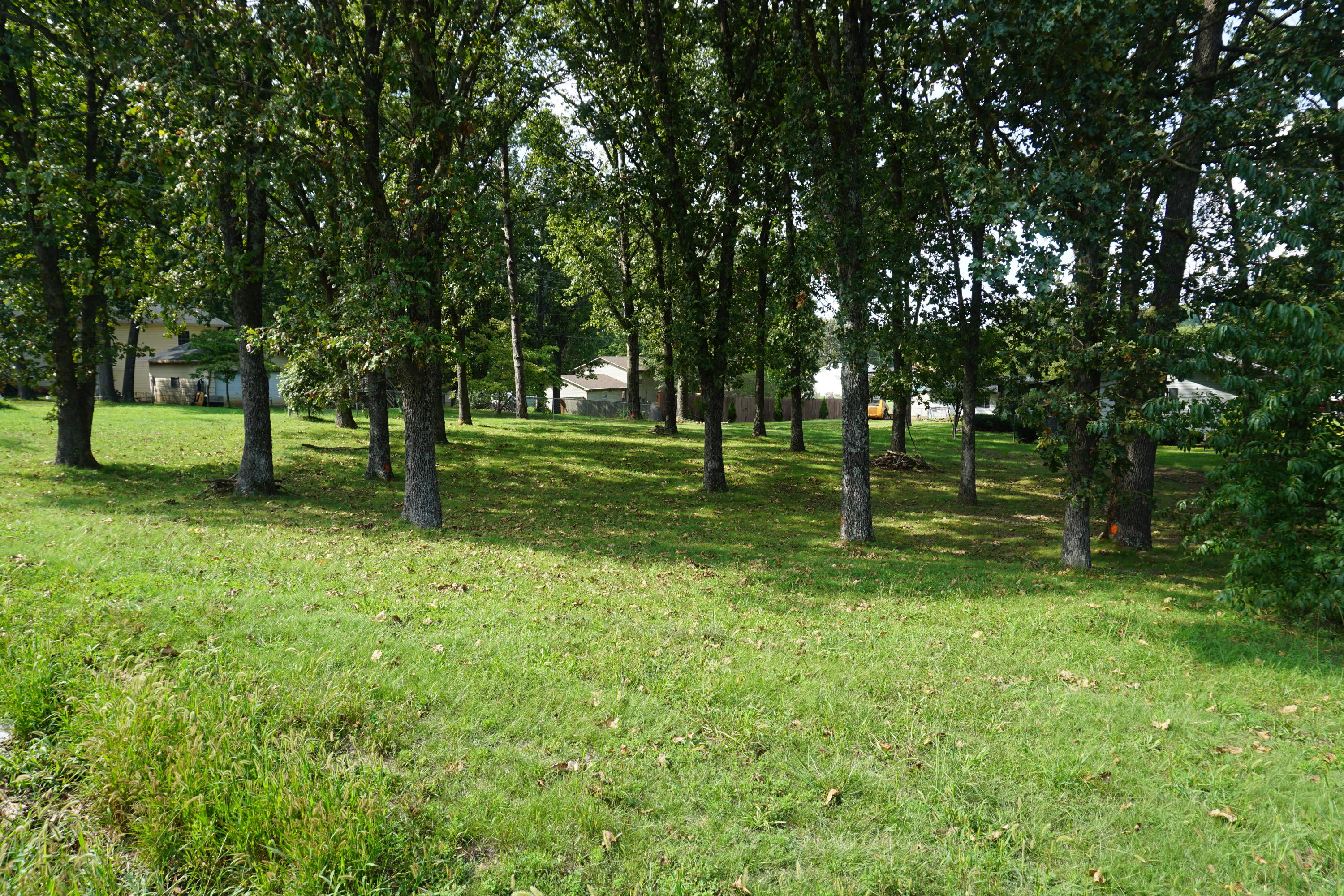 000 Joann Drive 1