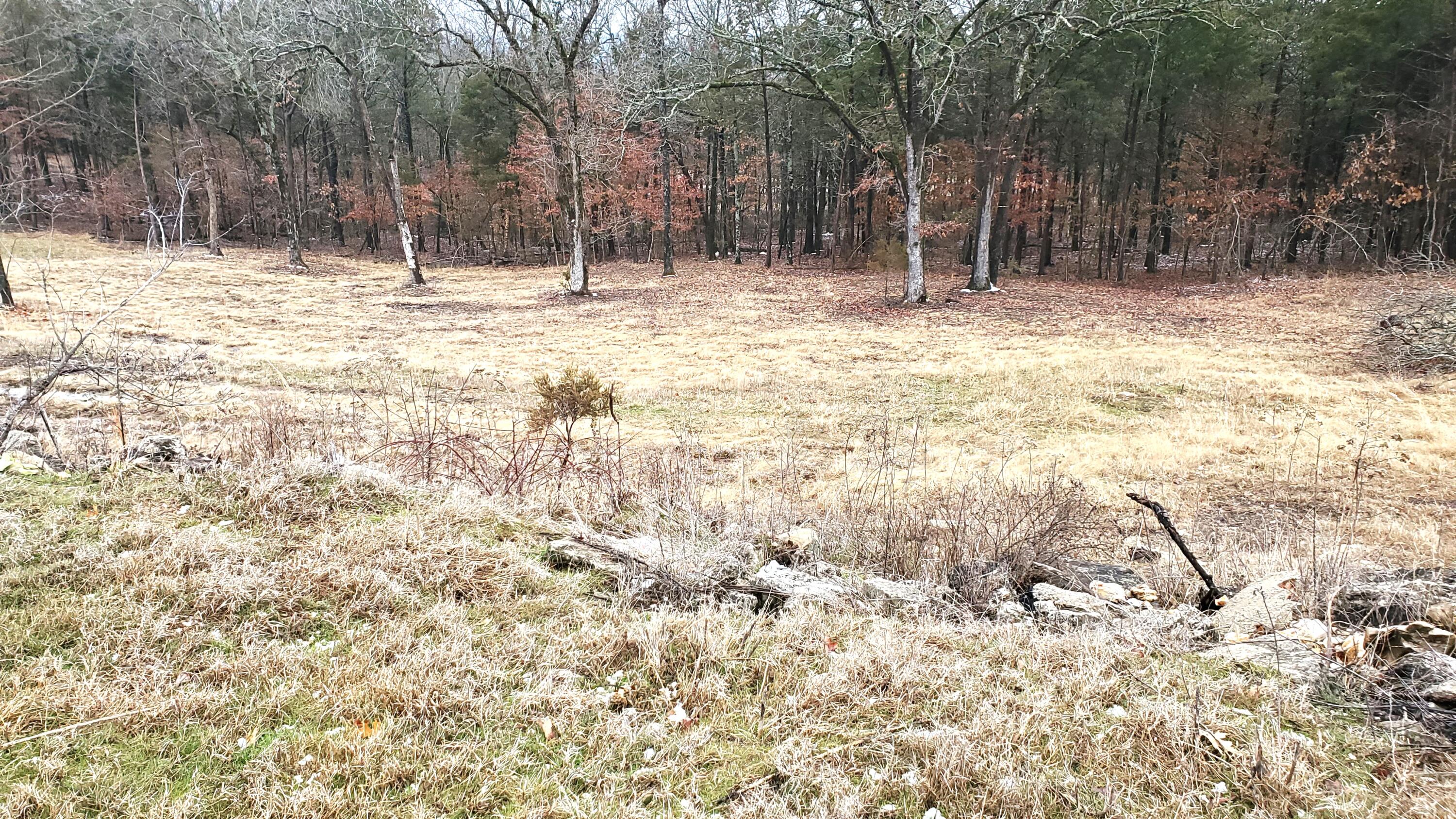 000 Lot 177 Silver Sunset Lane 1