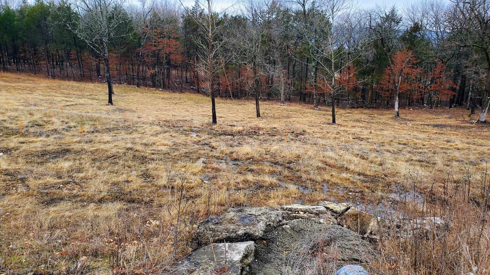 000 Lot 178 Silver Sunset Lane 1