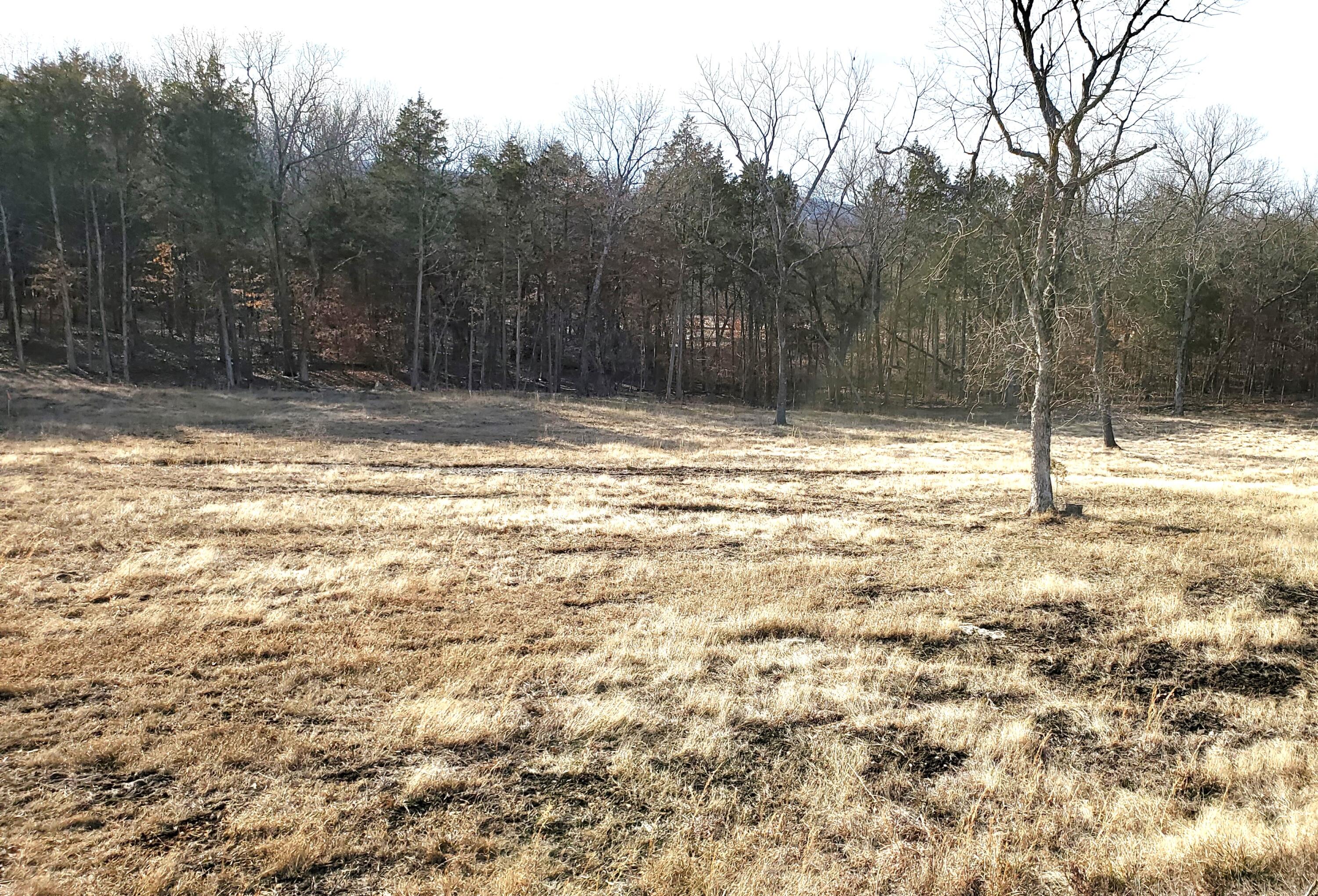 000 Lot 179 Silver Sunset Lane 1