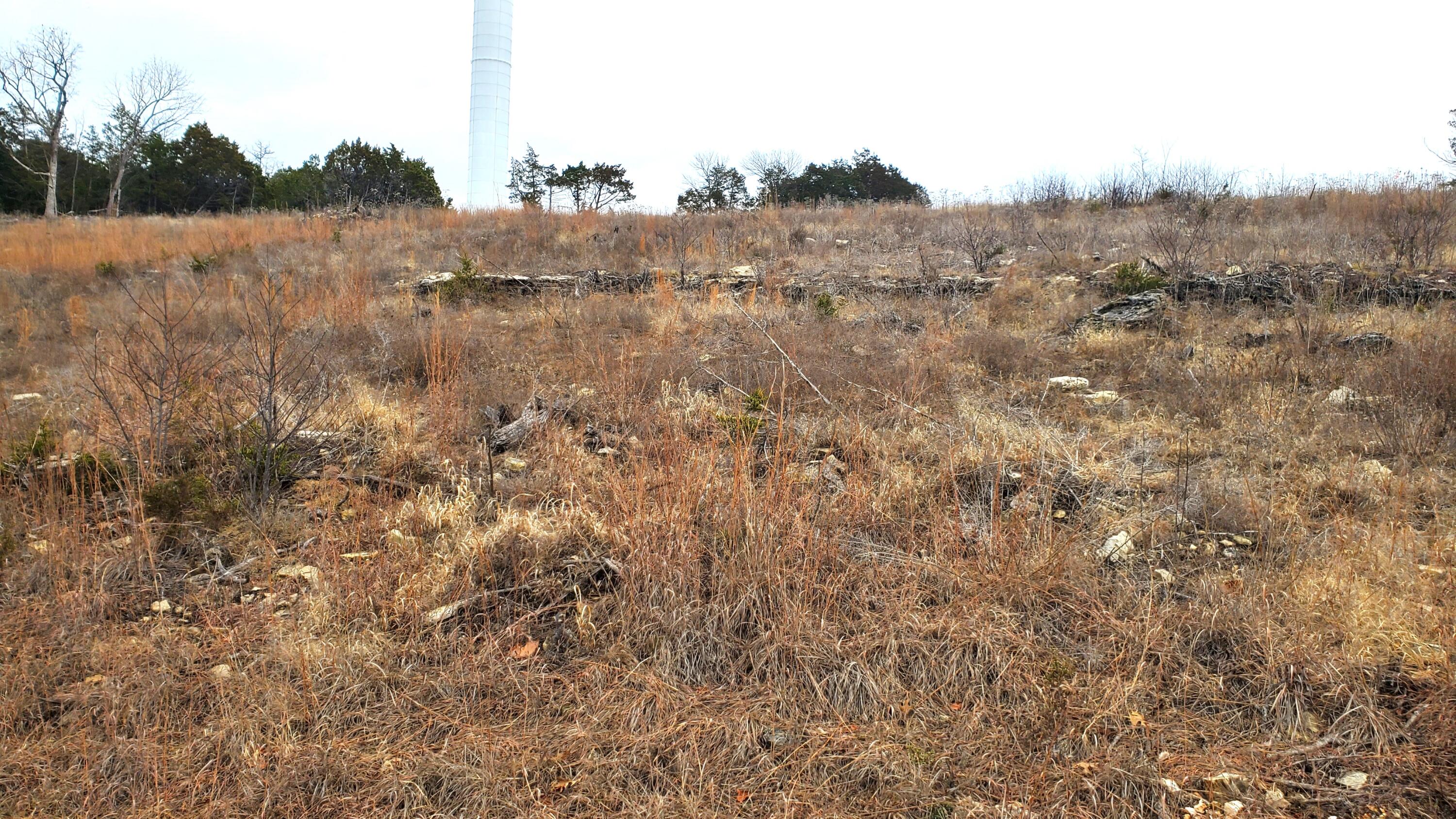 000 Lot 252 Silver Sunset Lane 1