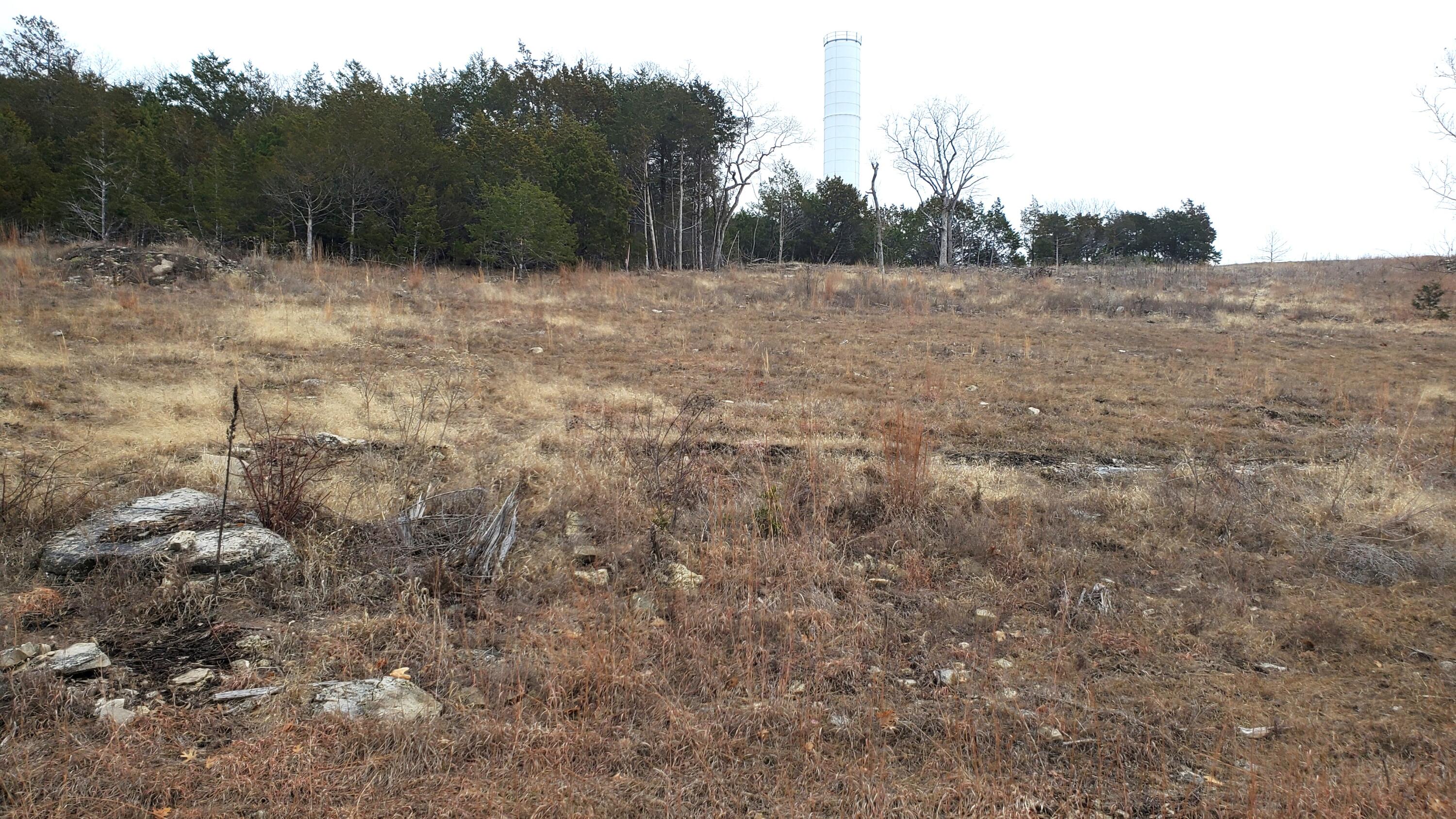 000 Lot 254 Silver Sunset Lane 1