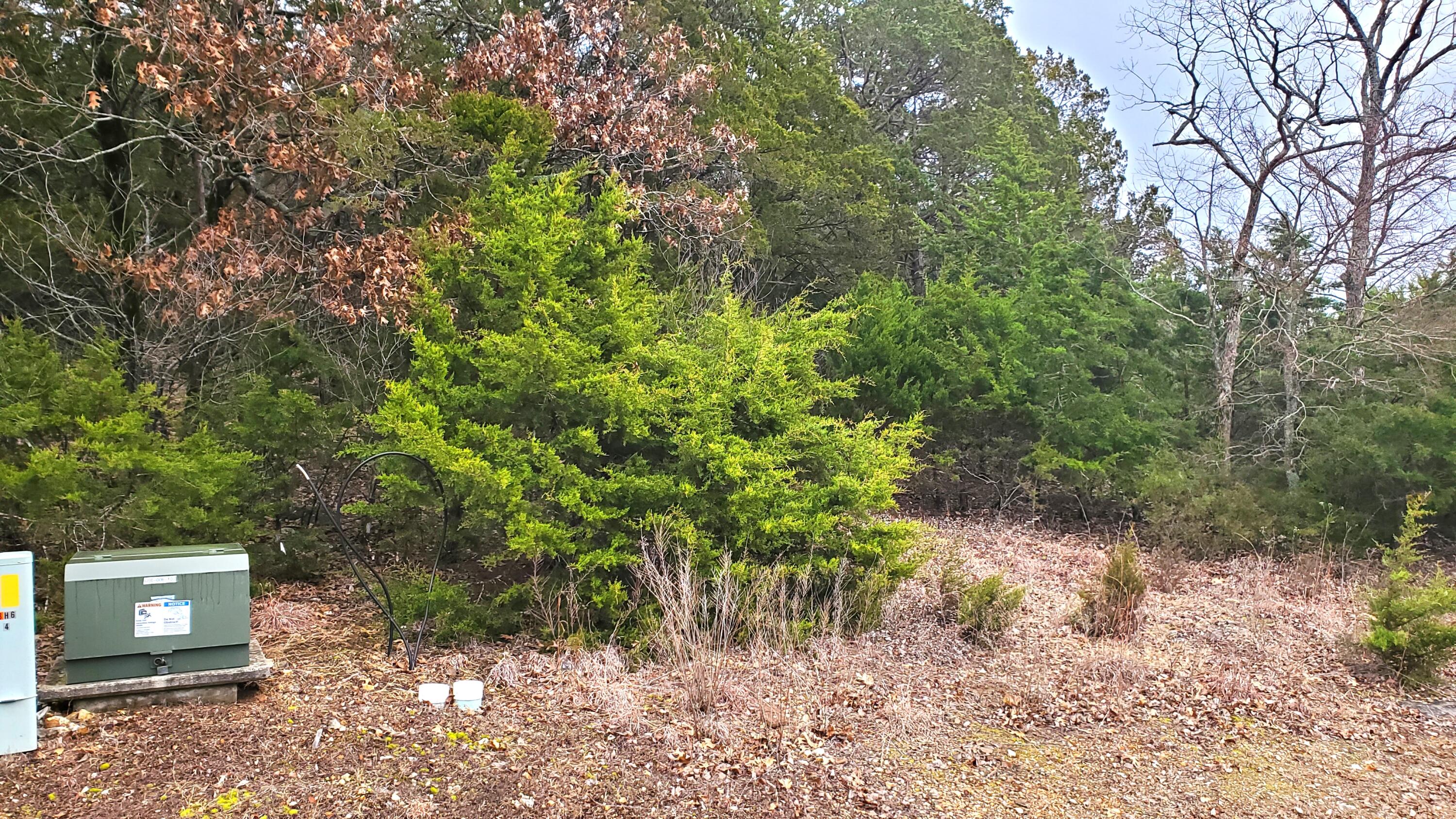 000 Lot 256 Silver Sunset Lane 1