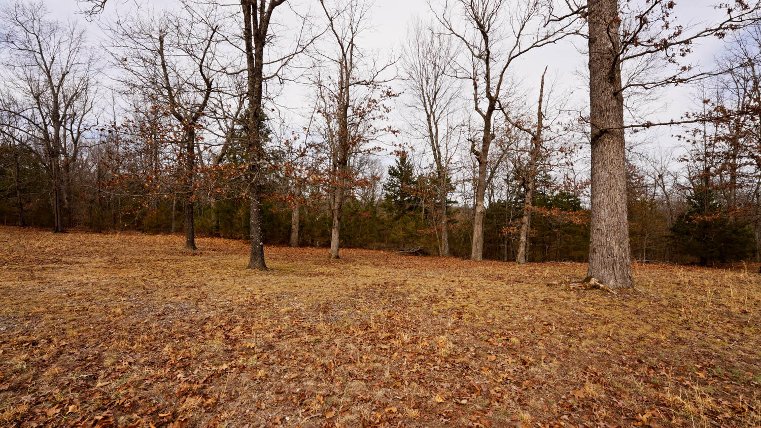 Lot 18 Oakridge Drive 1