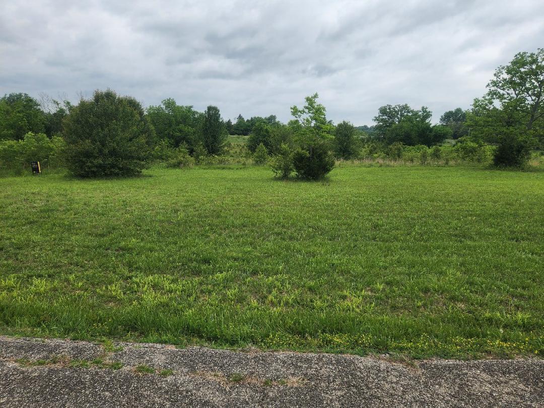 Lot 9 Country Music Ln 1