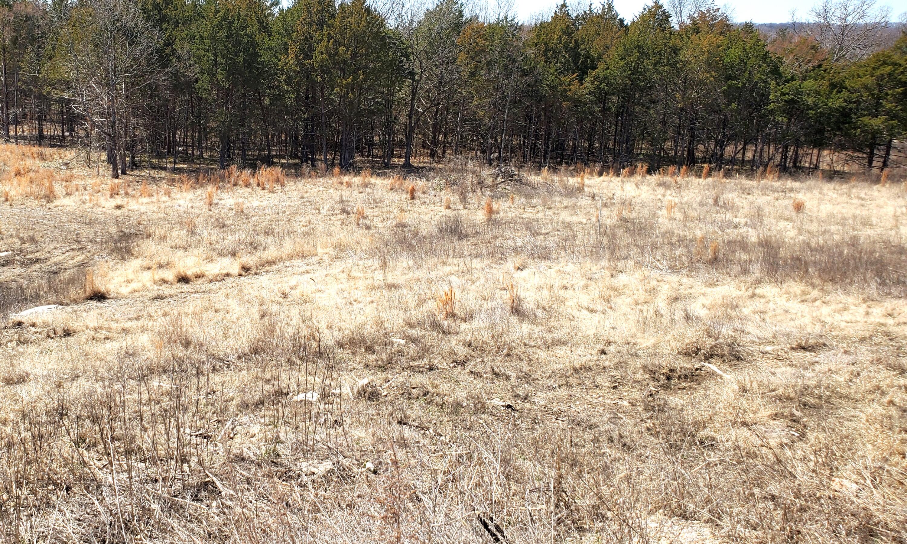 000 Lot 188 Silver Sunset Lane