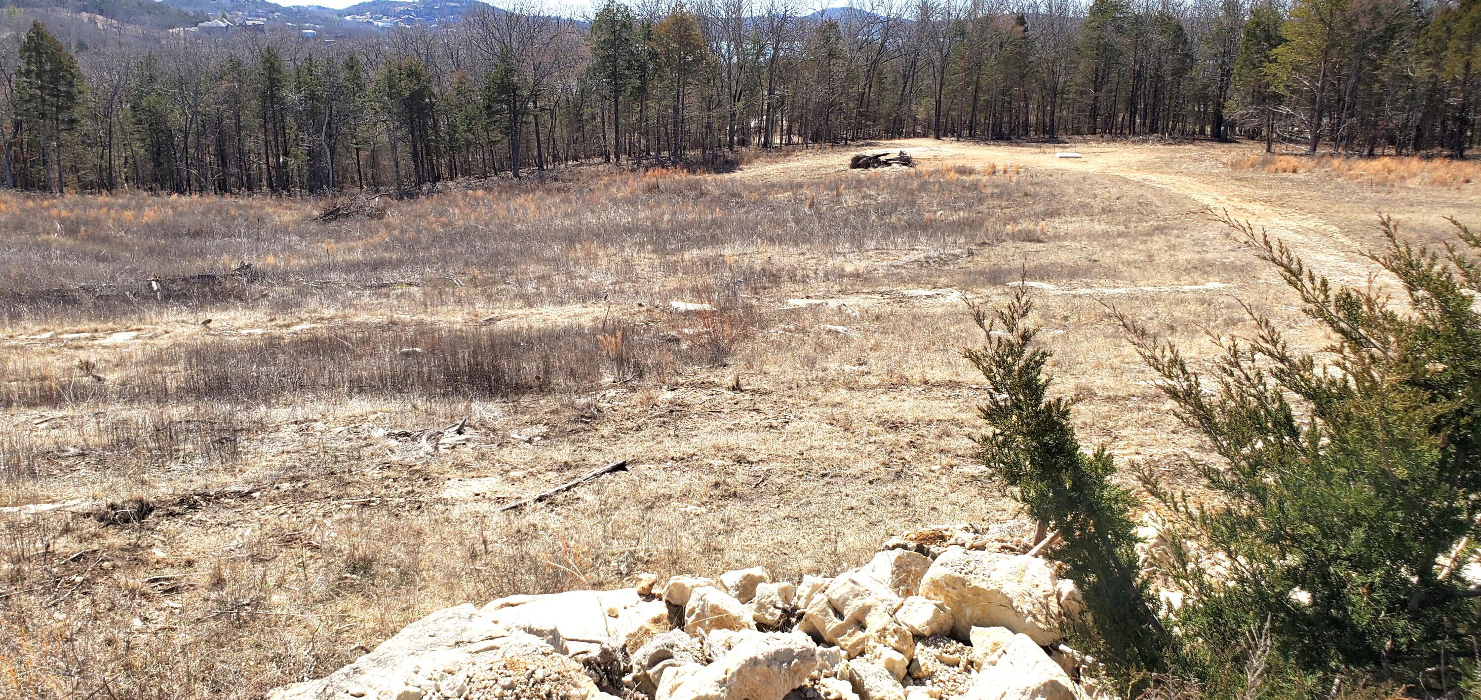 000 Lot 189 Silver Sunset Lane 1