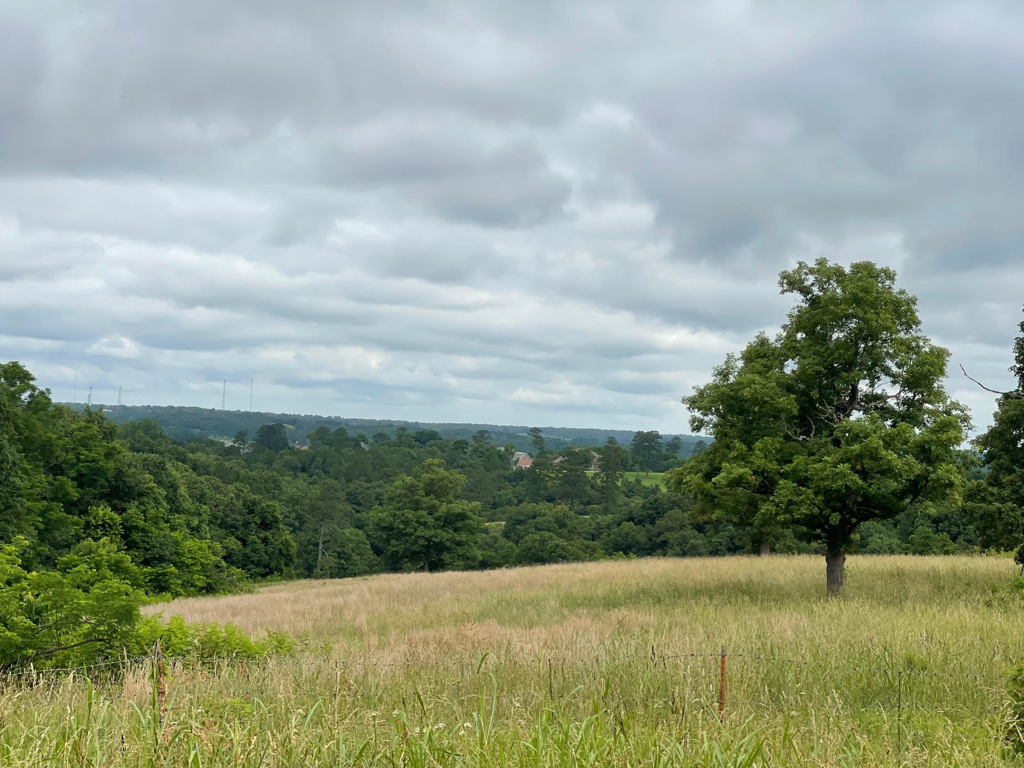 16.7 Ac Turkey Ridge