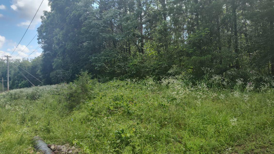 Lot142 143 Farm Road 1255 1