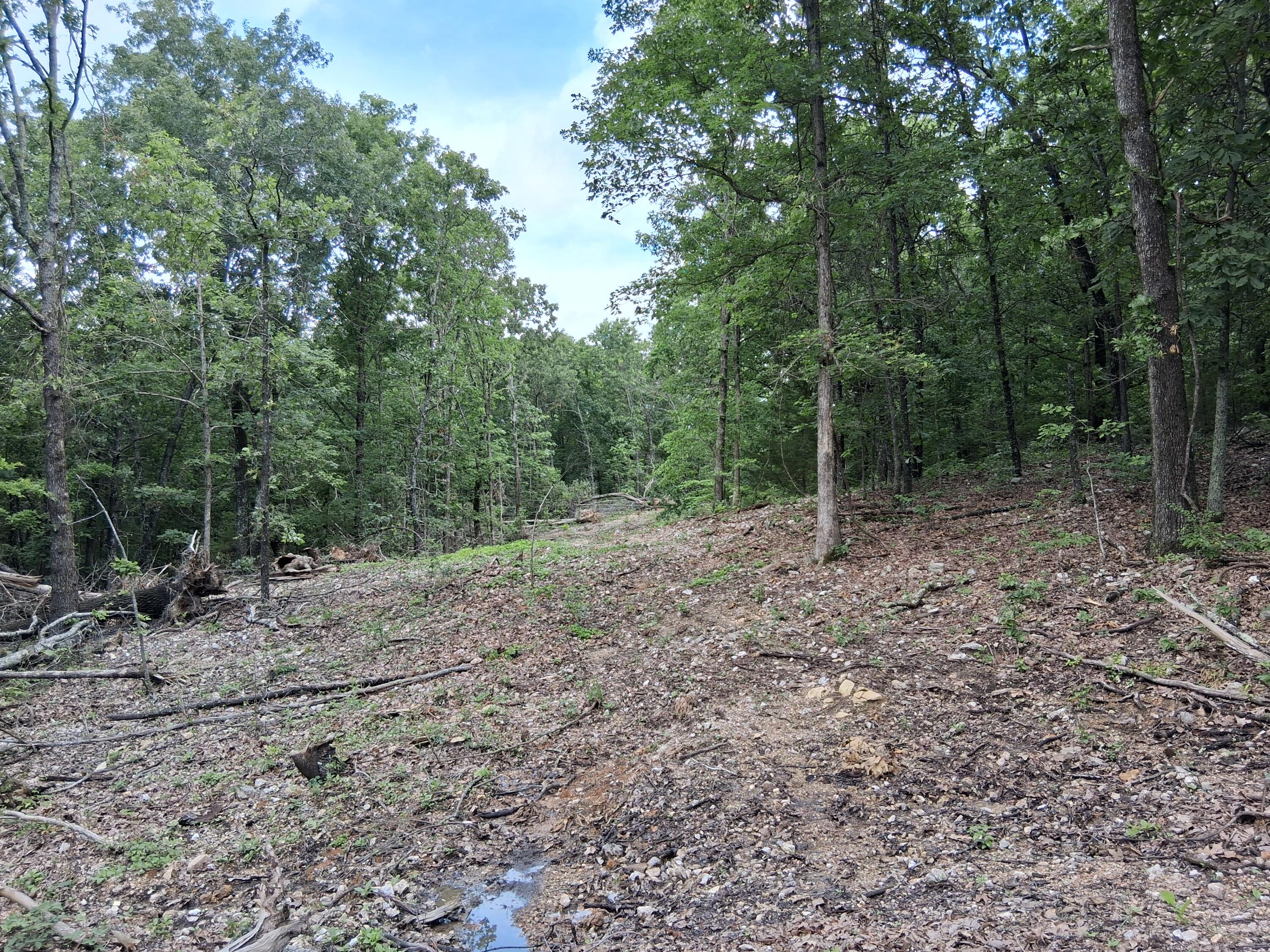 Tbd County Road 350 1