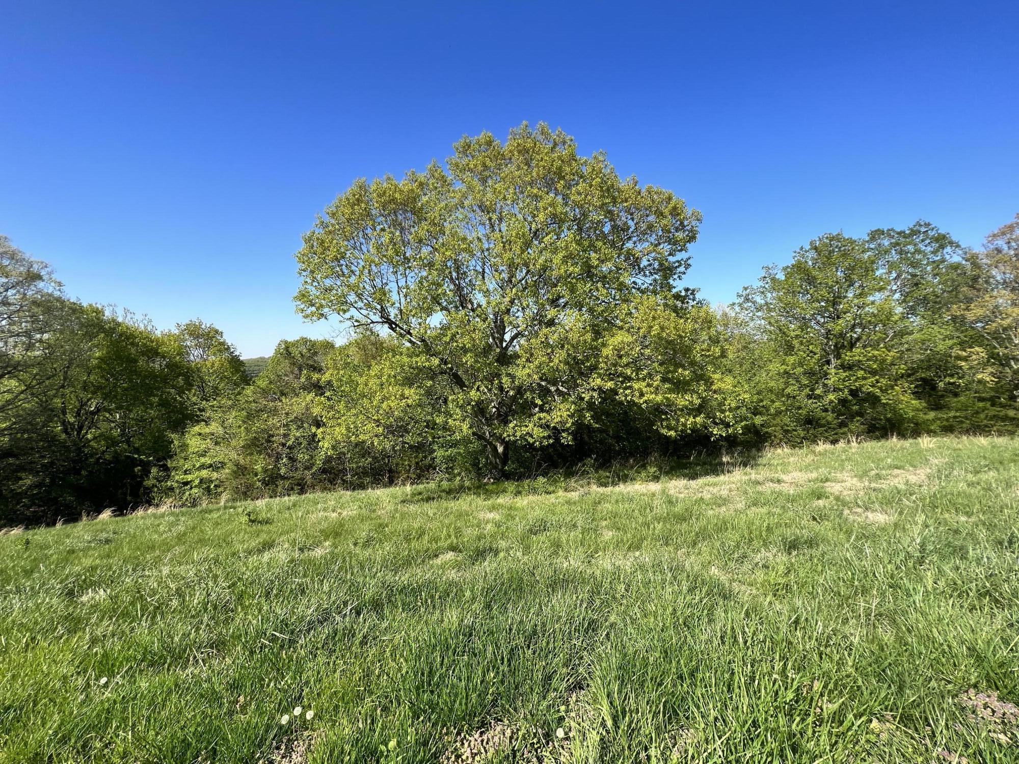 Lot 58 Eagle Crest