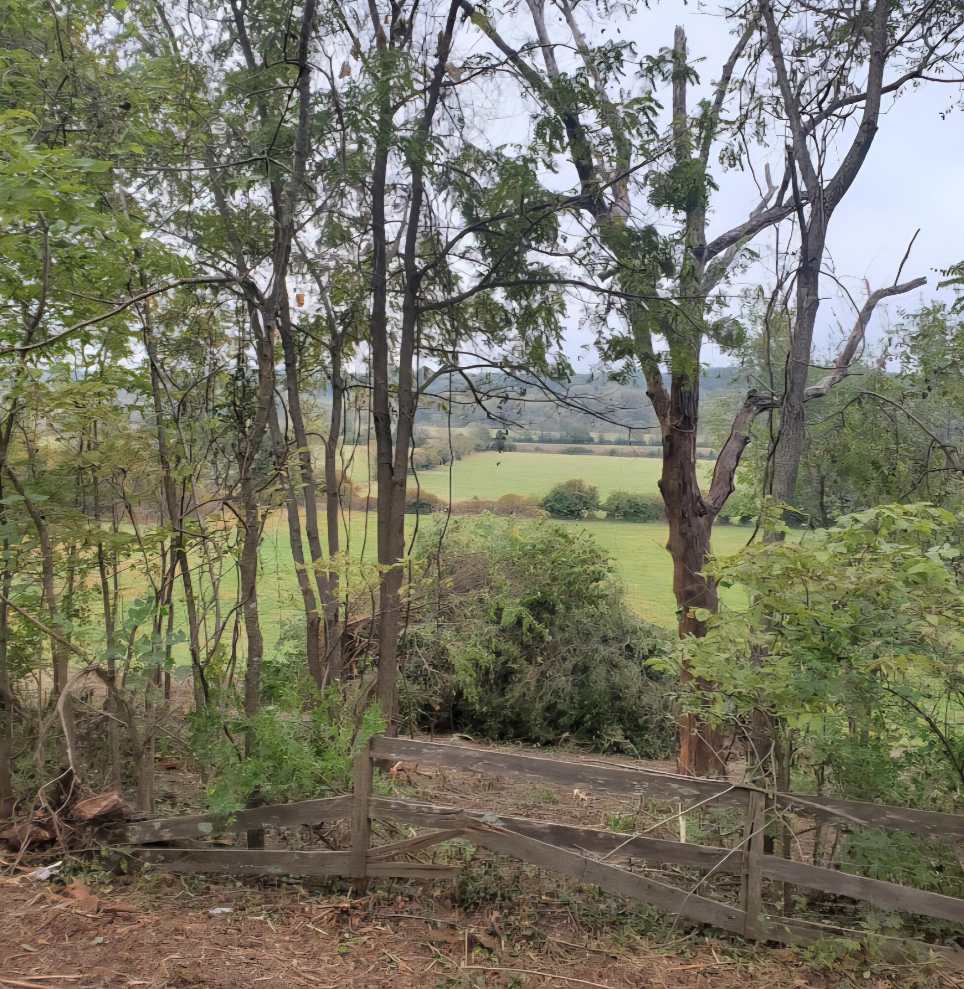 000 E Farm Road 164 1