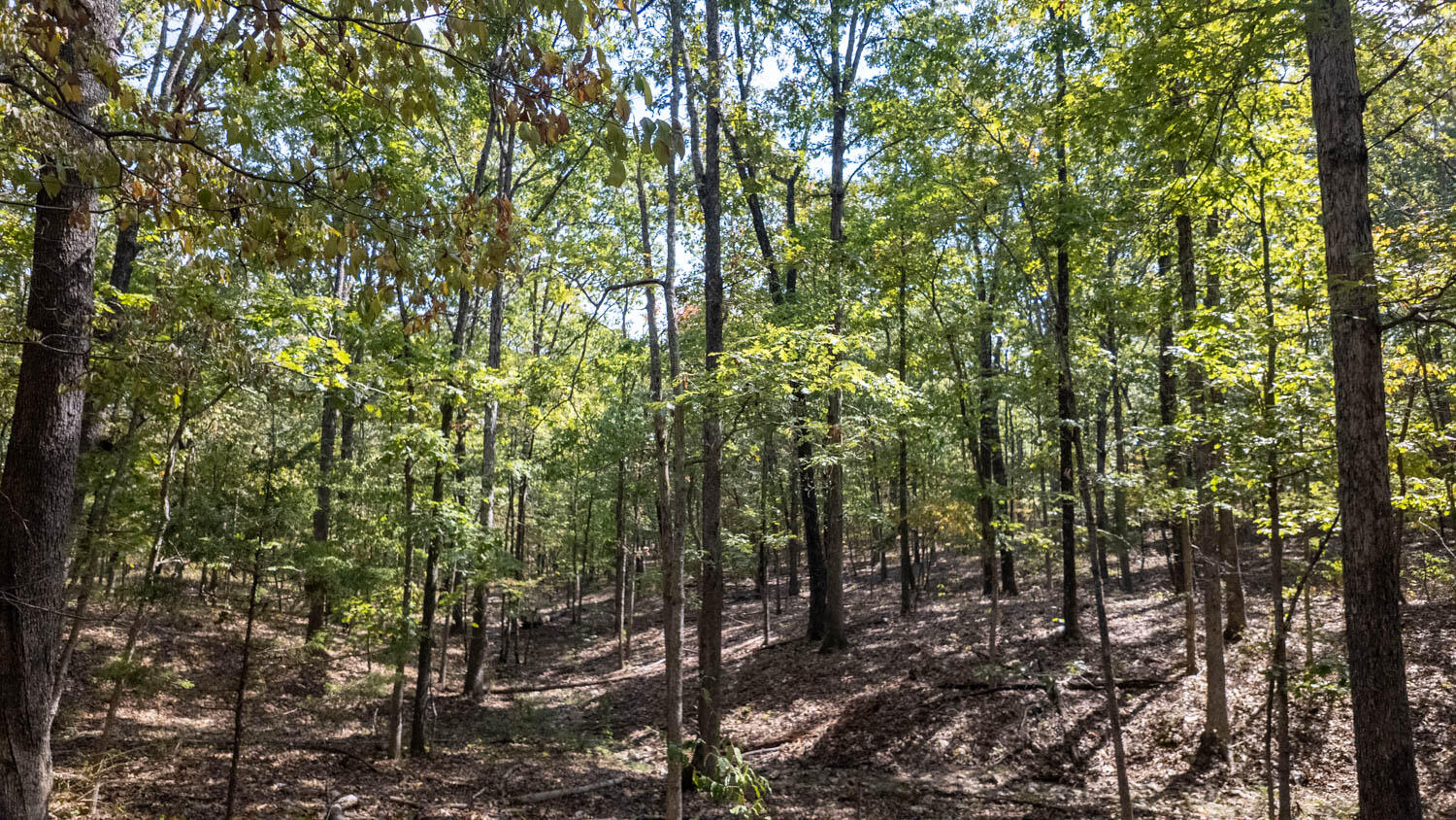 000 County Road 3540 1