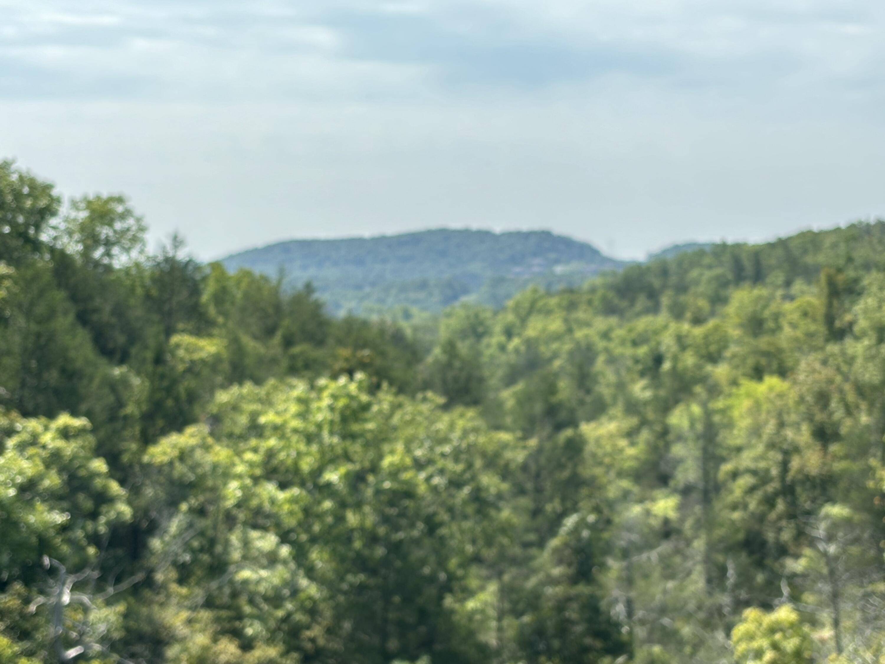 Lot #3 Fox Hollow 1
