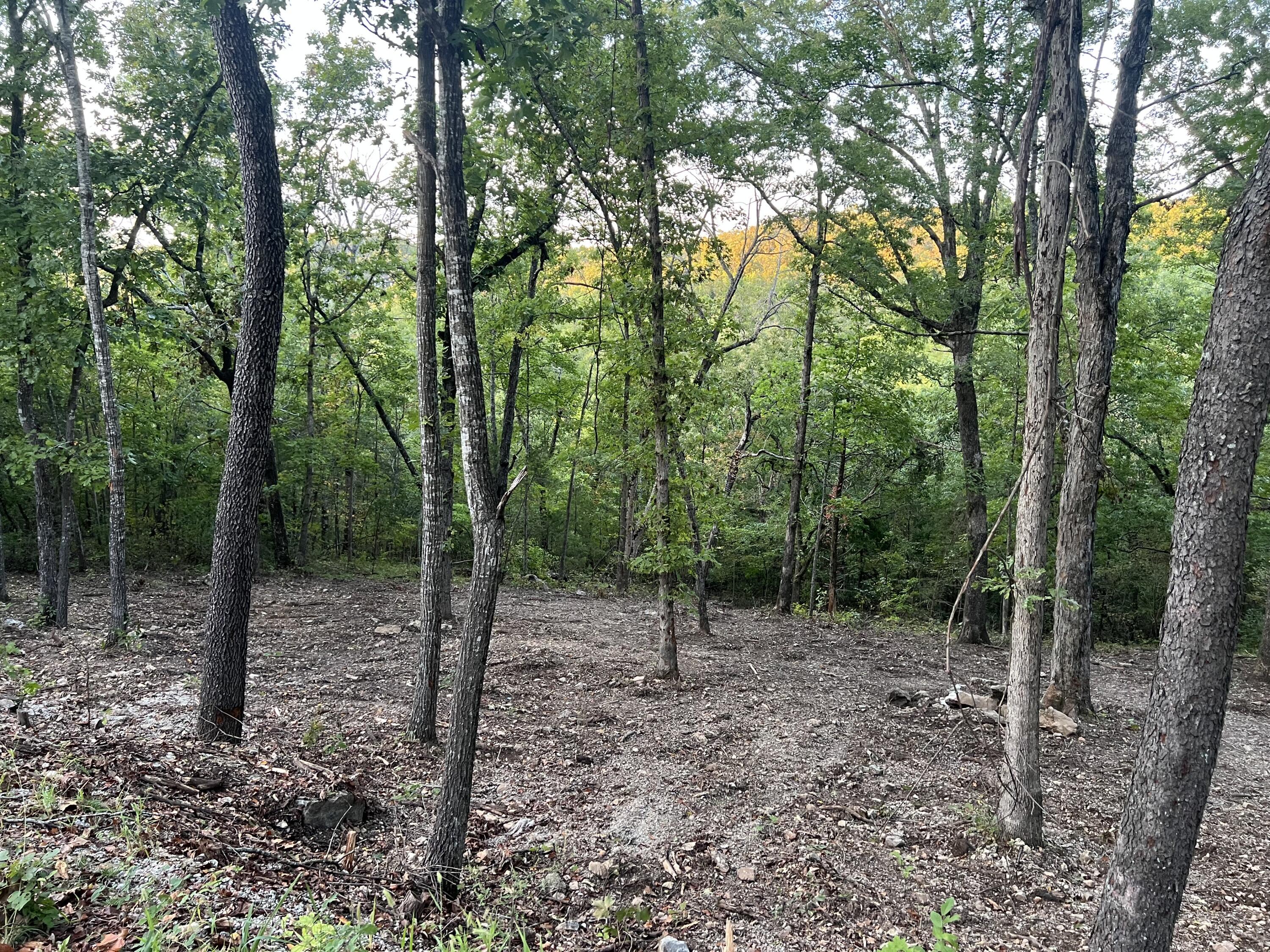 190 Deer Dr 1