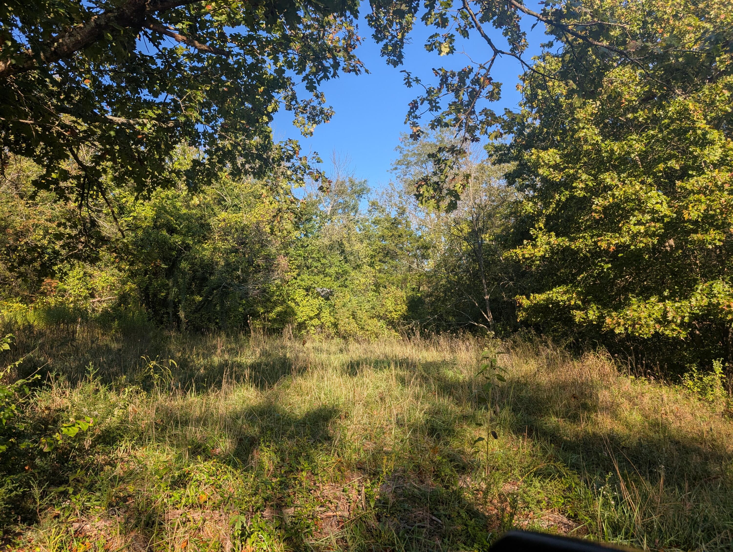 19,20,21 Turkey Mtn. Estates #2 1