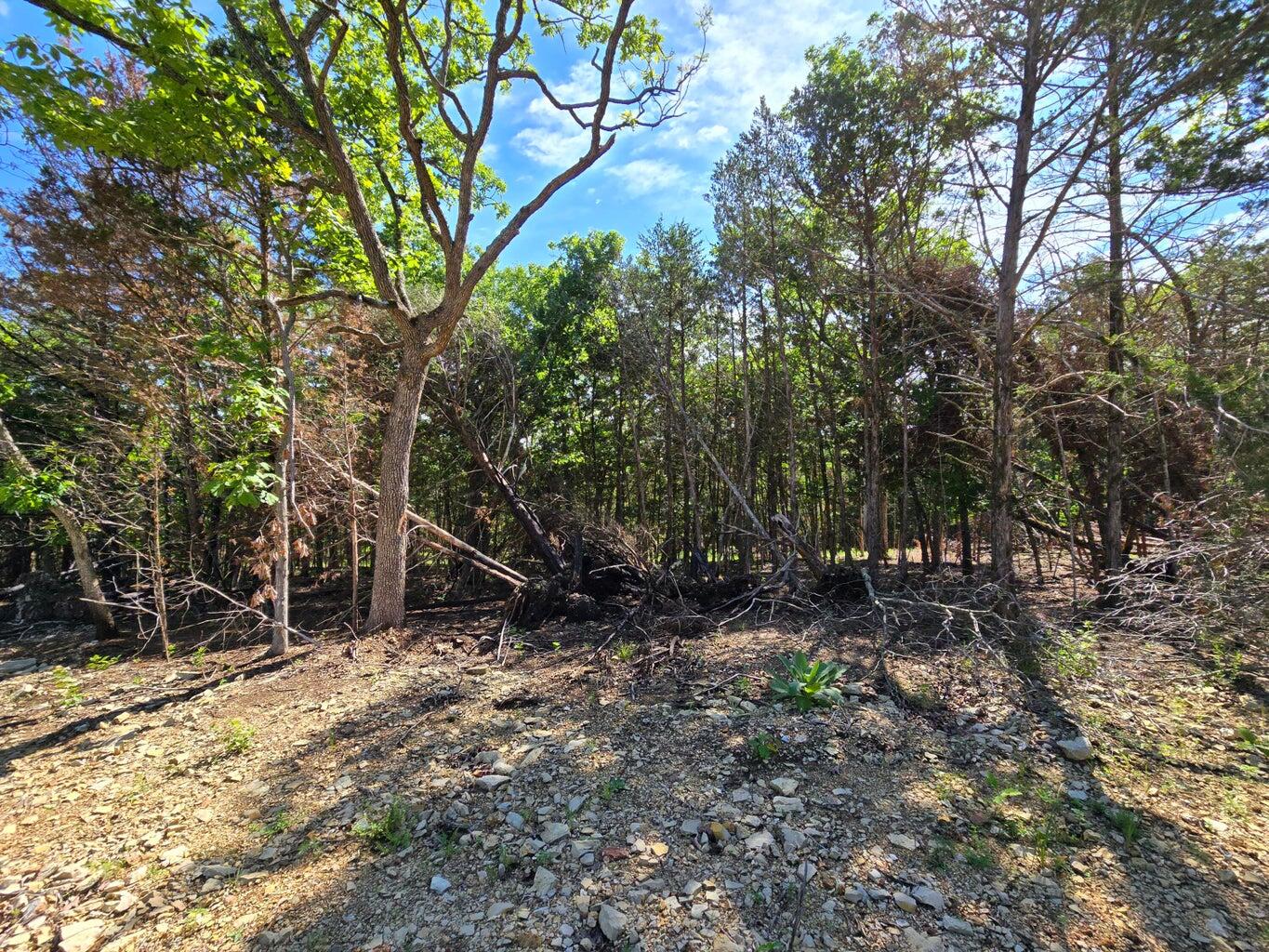 11111 Tall Oaks 1