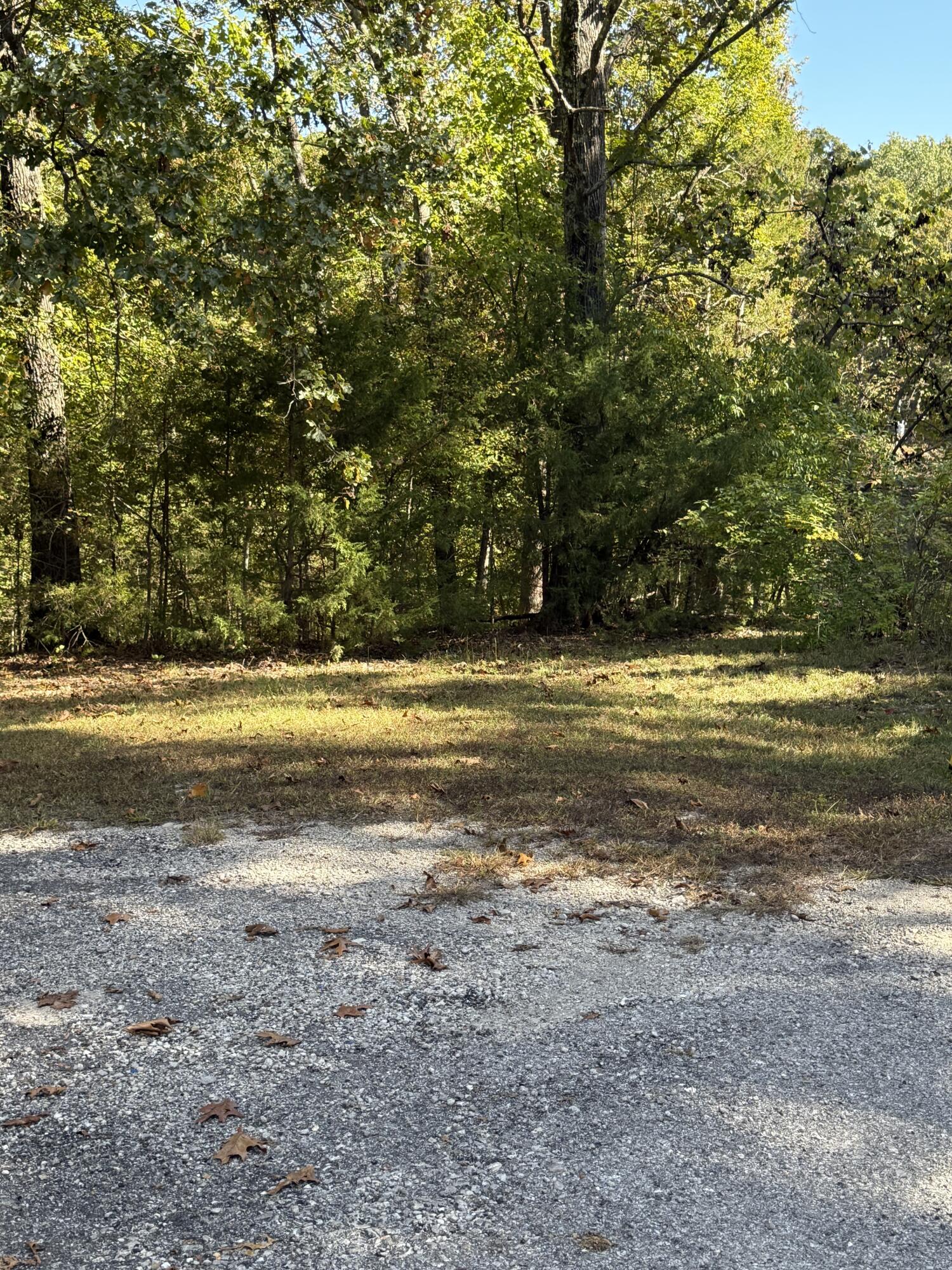 000 Farm Road 1263 1