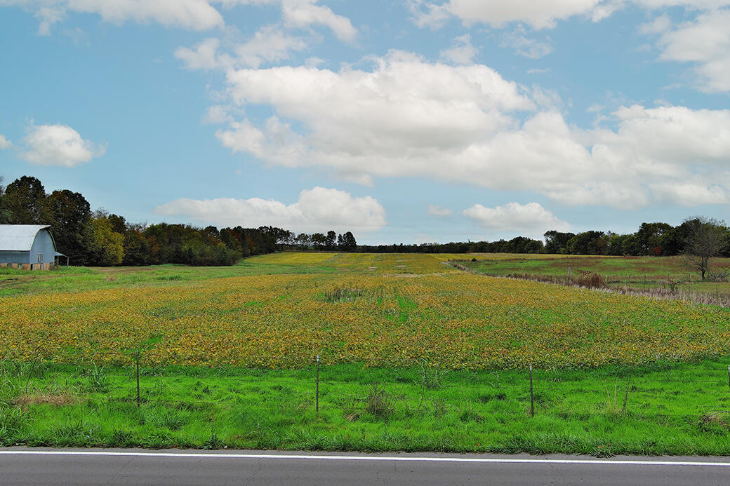 000 W Farm Road 194 1