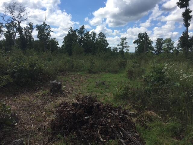 1240 County Rd 875 1