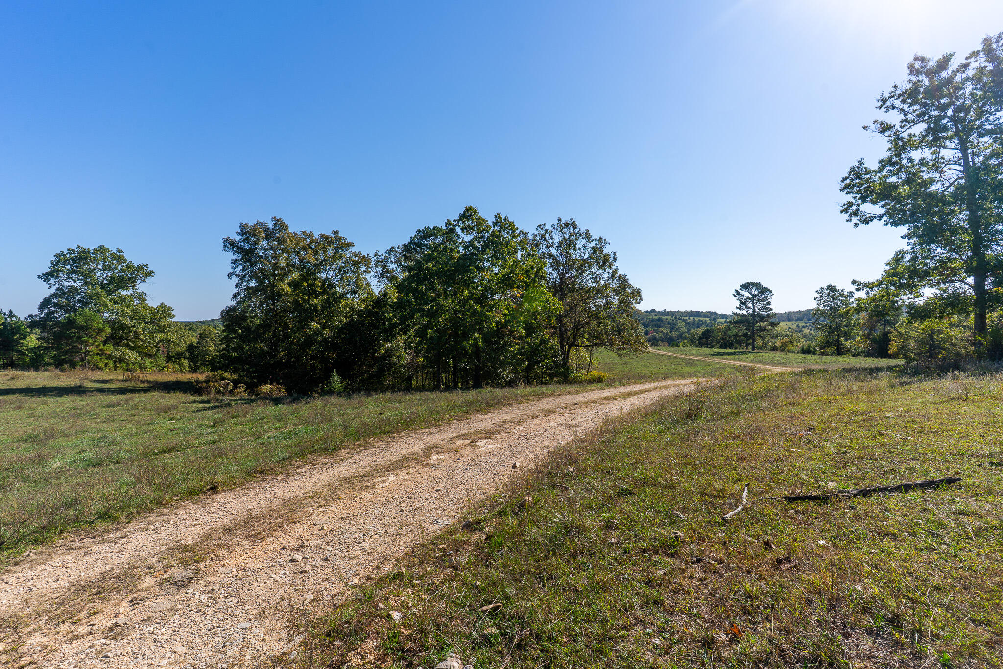 000 County Road 1130 1