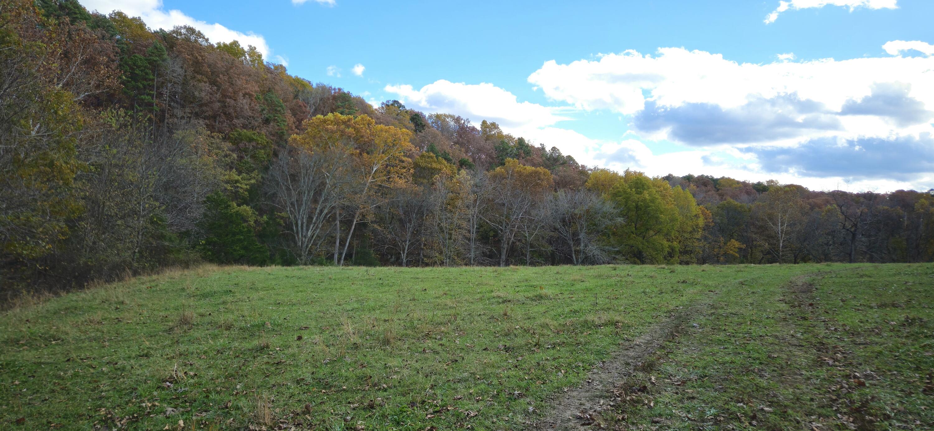 205 County Road 6550 1