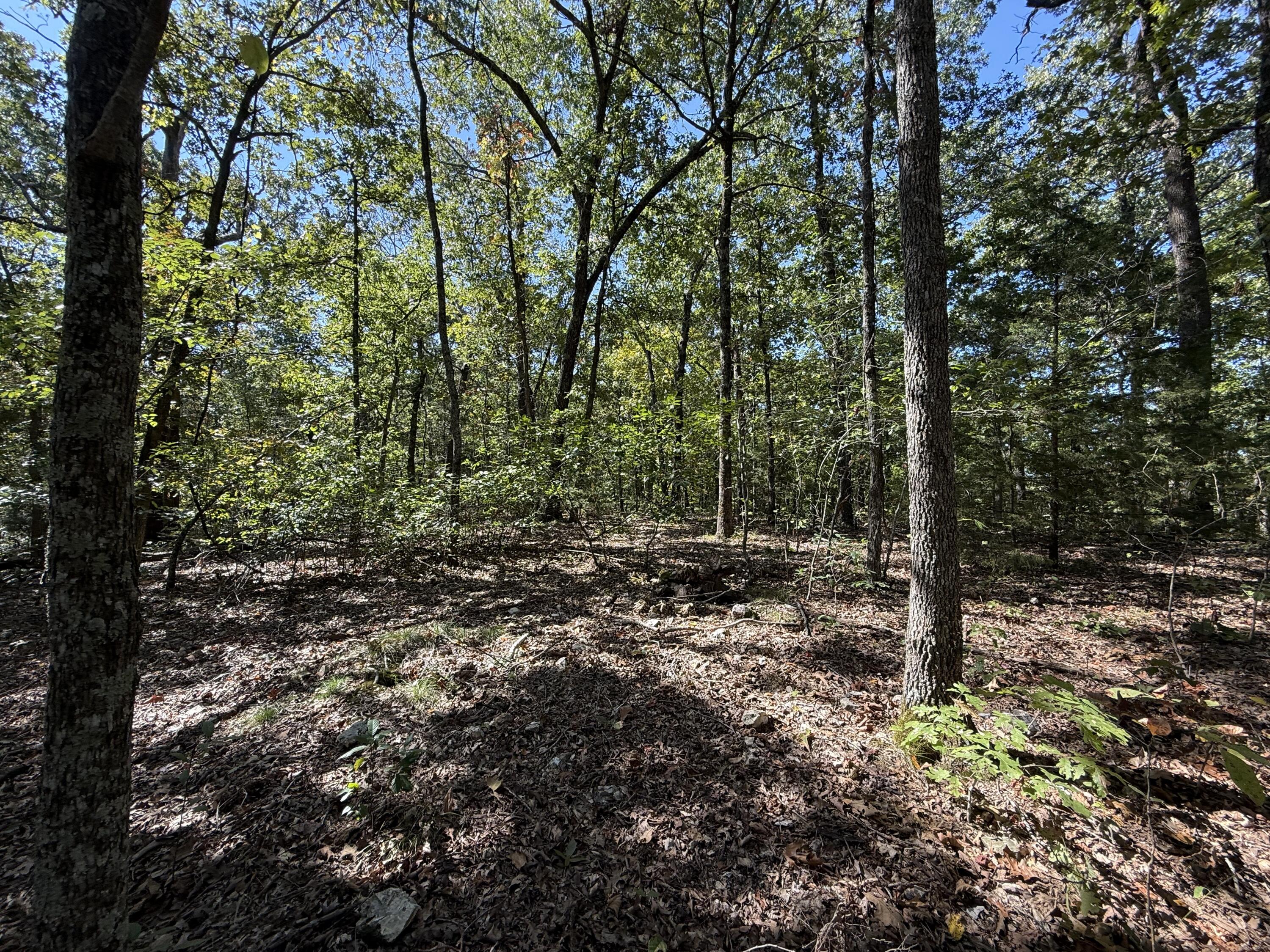 38.84 Ac Prayer Garden Ln 1