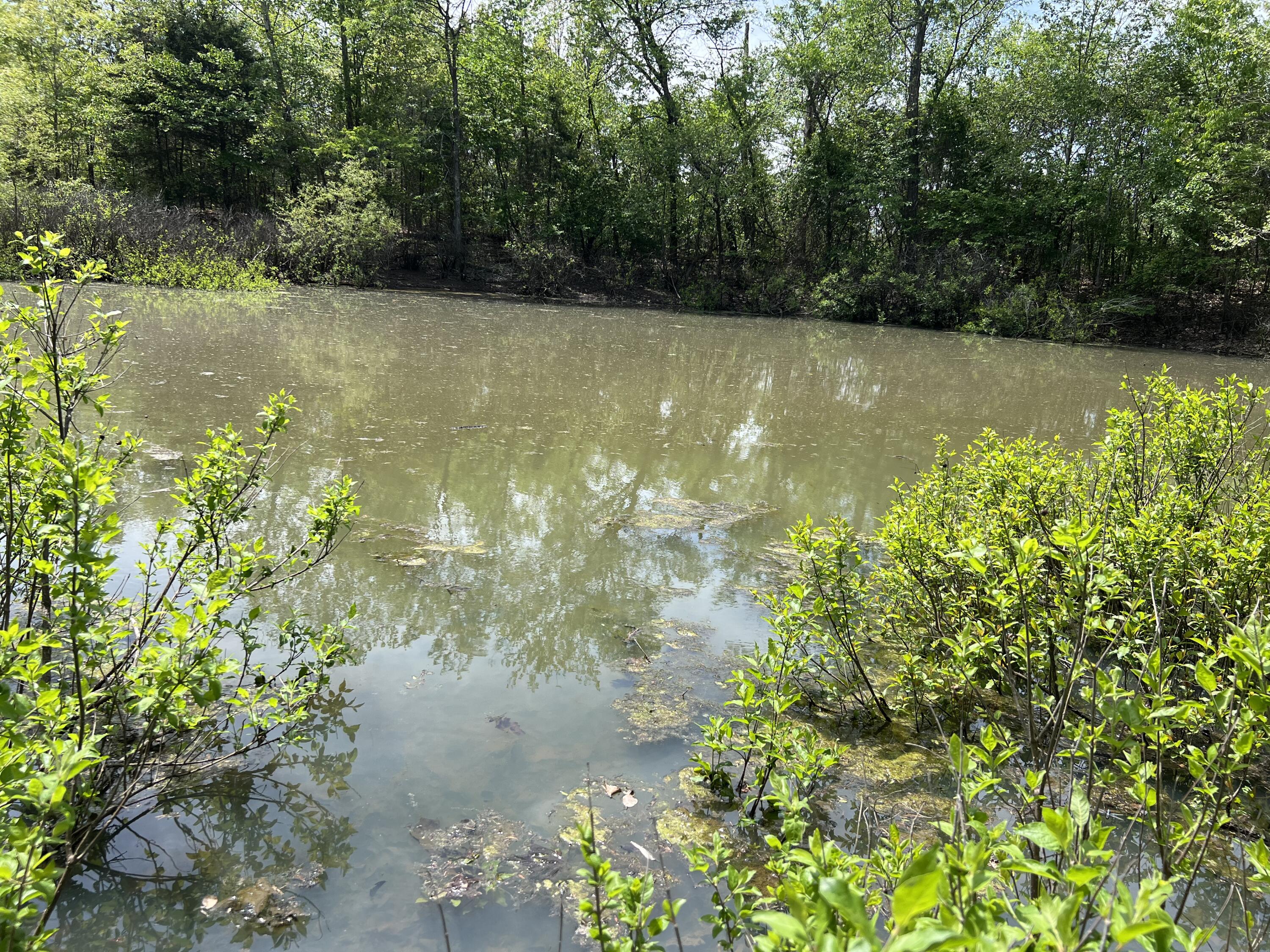 000 County Road P-309
